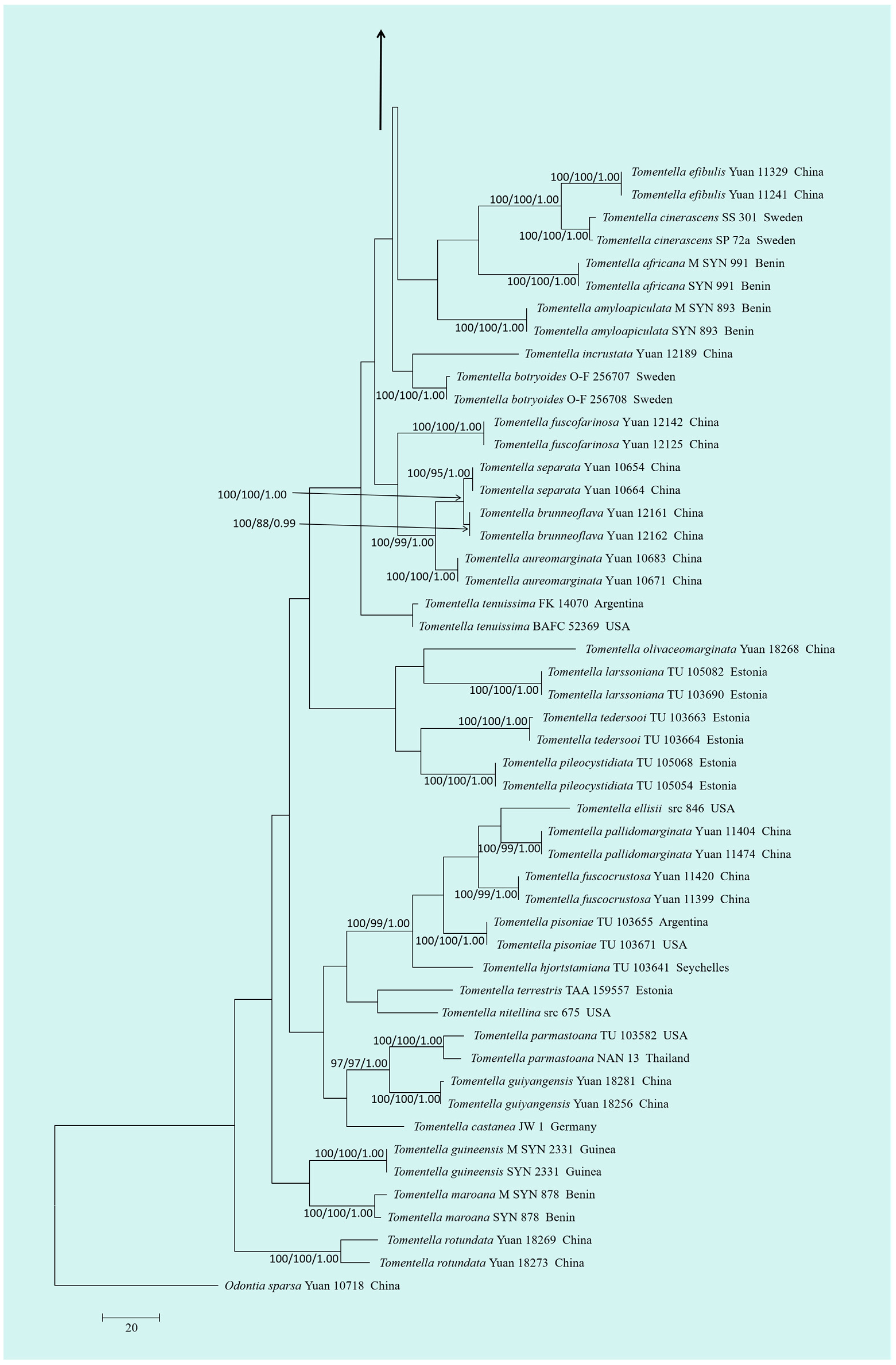 Jof 10 00775 g003b Jof 10 00775 g003b