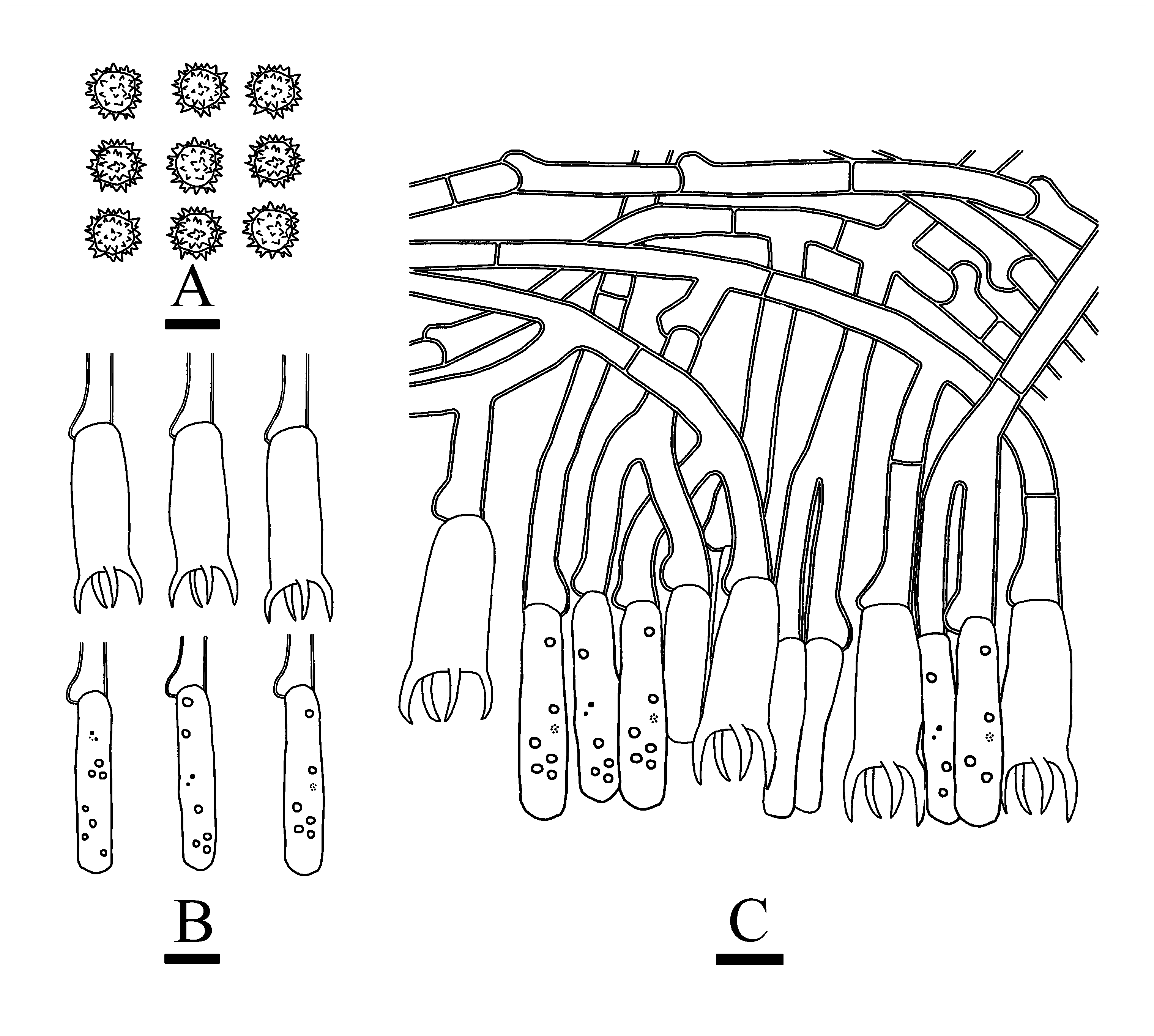 Jof 10 00775 g008 Jof 10 00775 g008