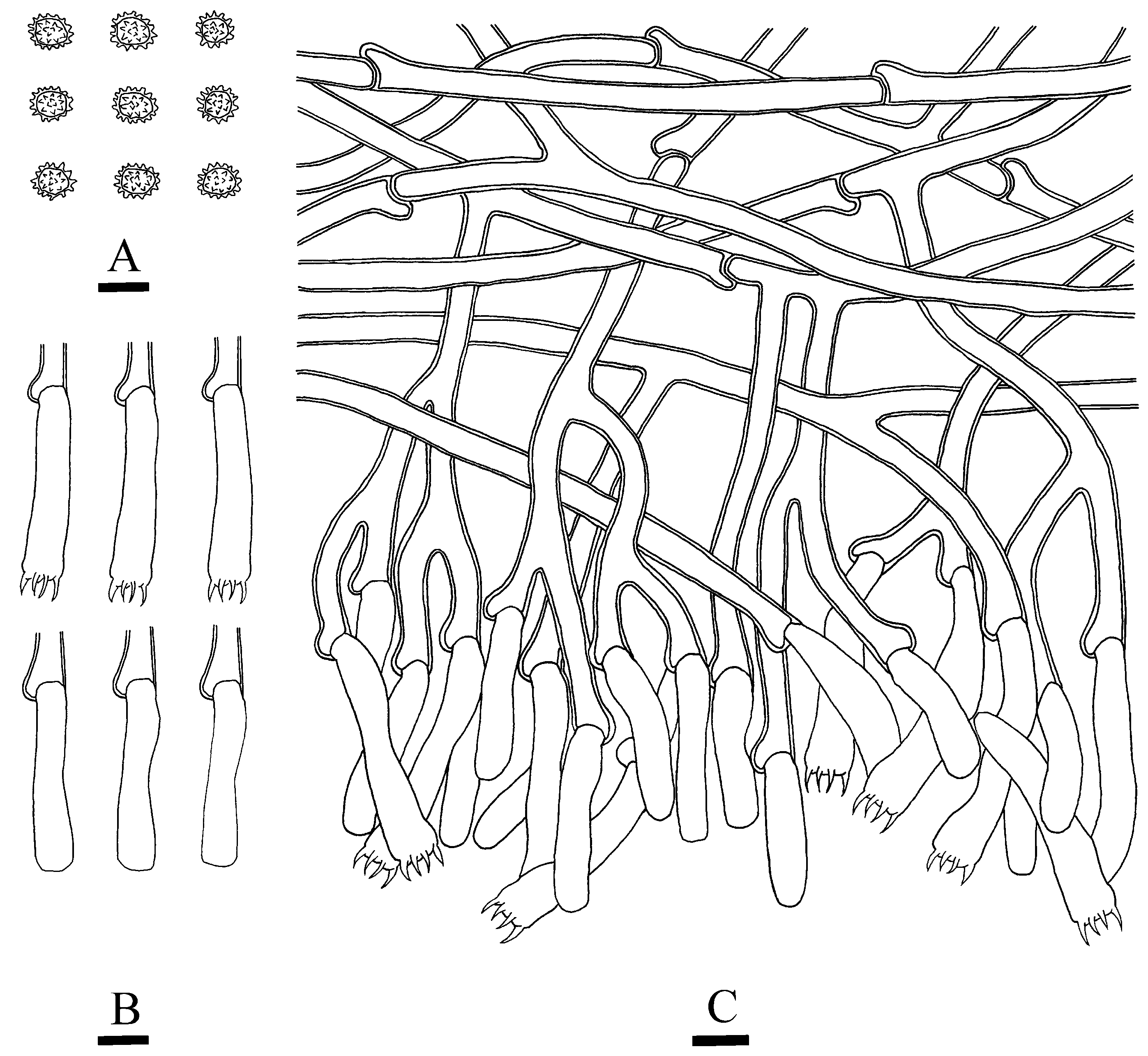 Jof 10 00775 g010 Jof 10 00775 g010