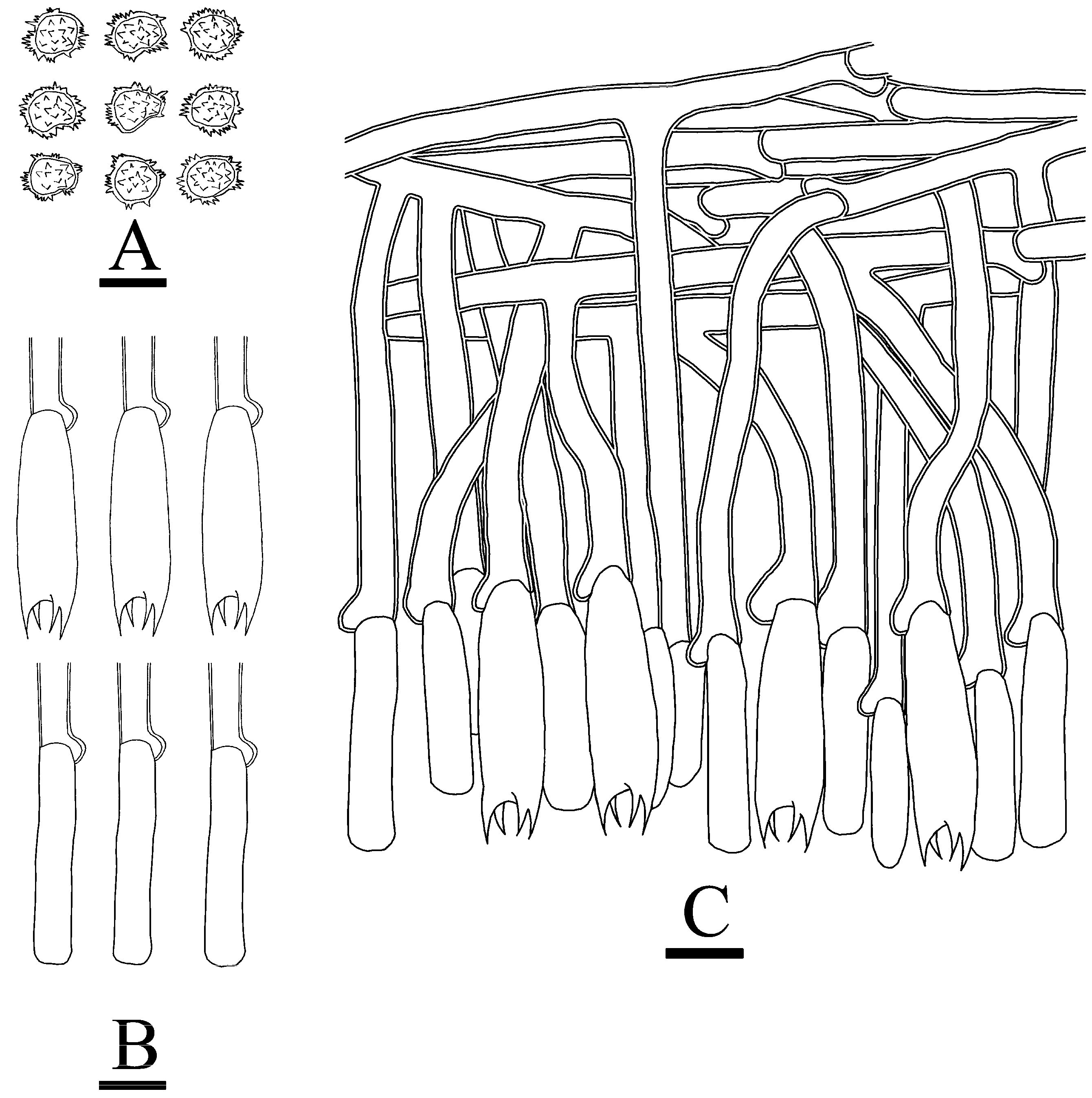Jof 10 00775 g012 Jof 10 00775 g012
