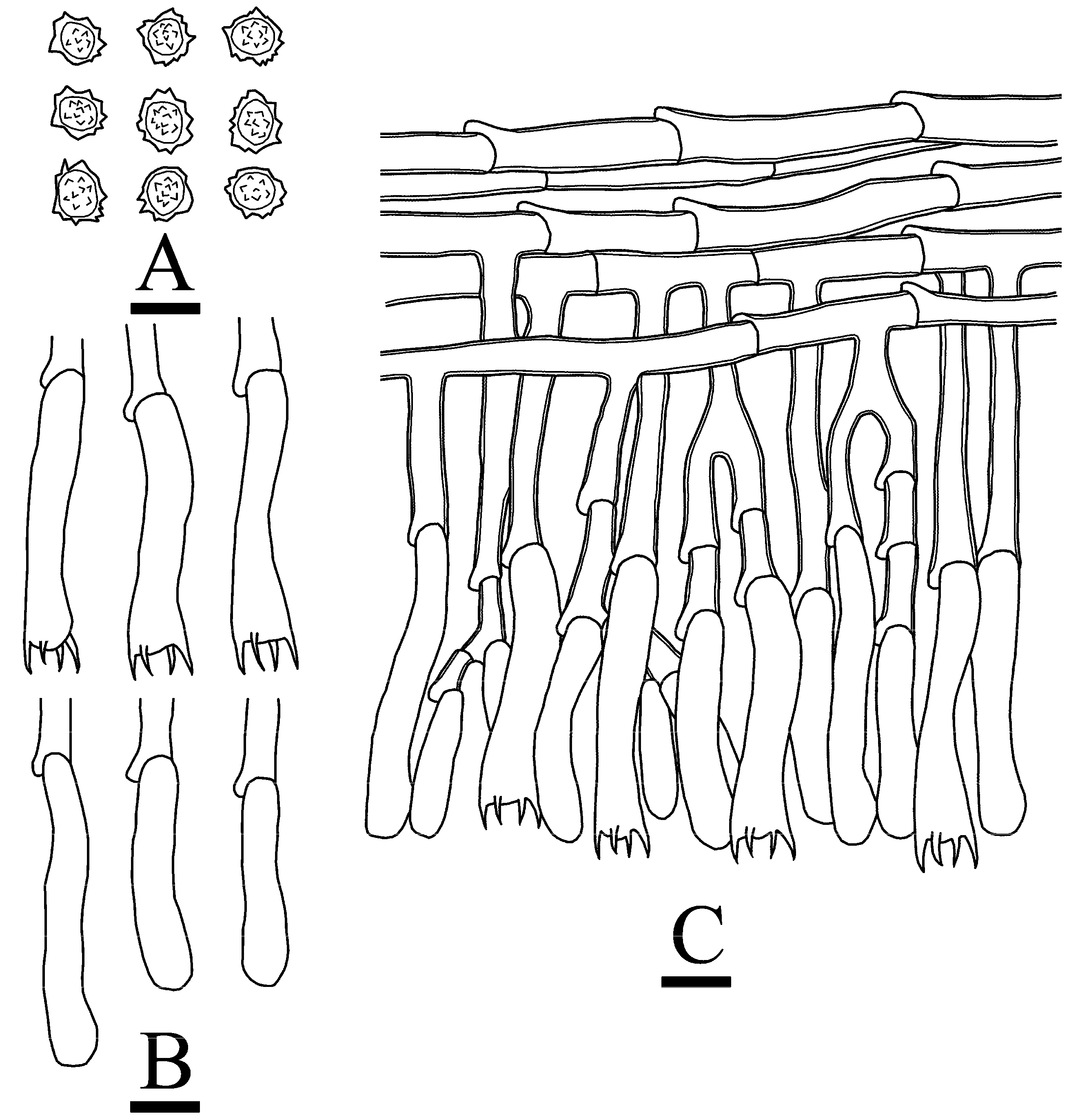 Jof 10 00775 g014 Jof 10 00775 g014