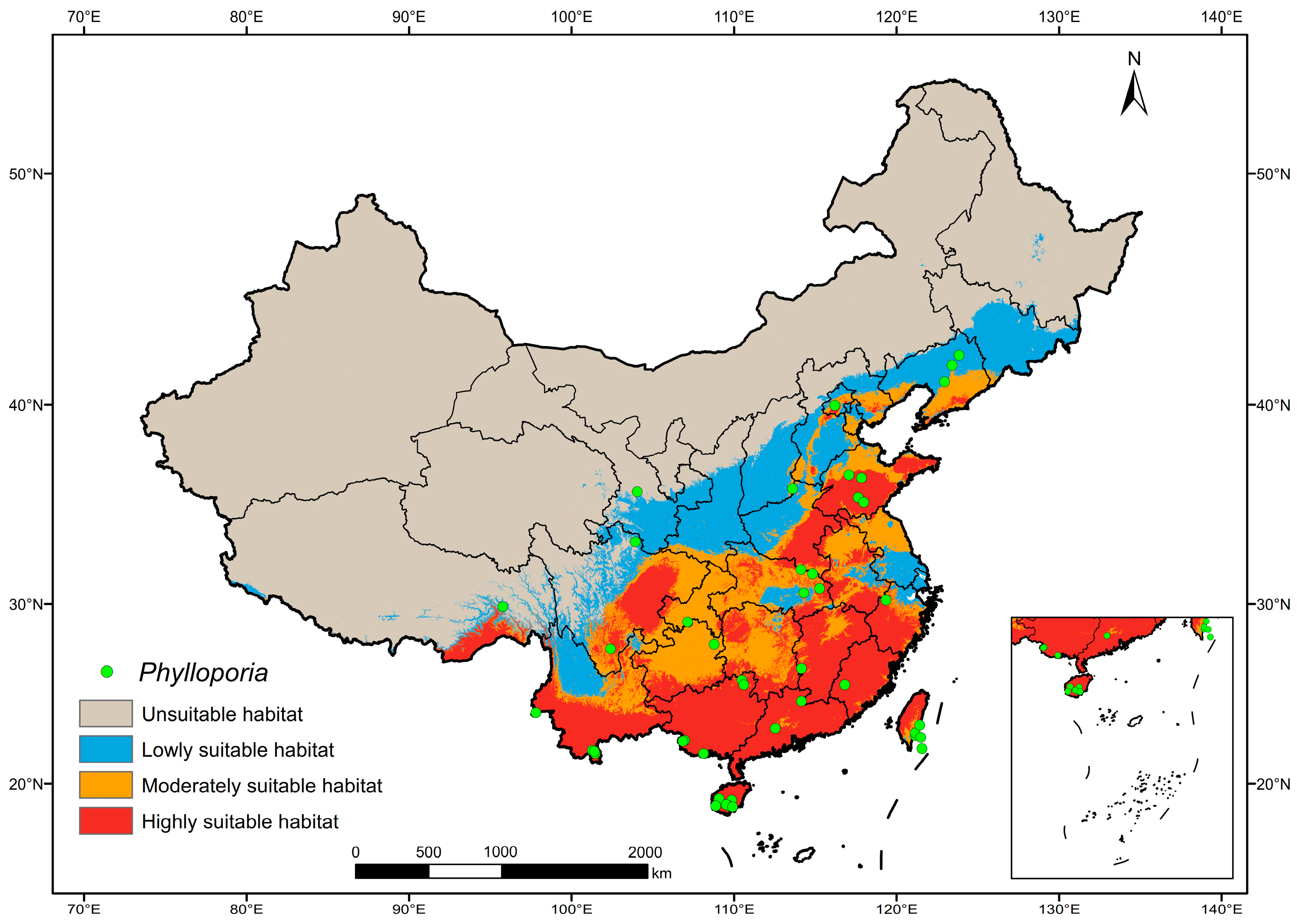 Spatiotemporal Pattern of a Macrofungal Genus Phylloporia