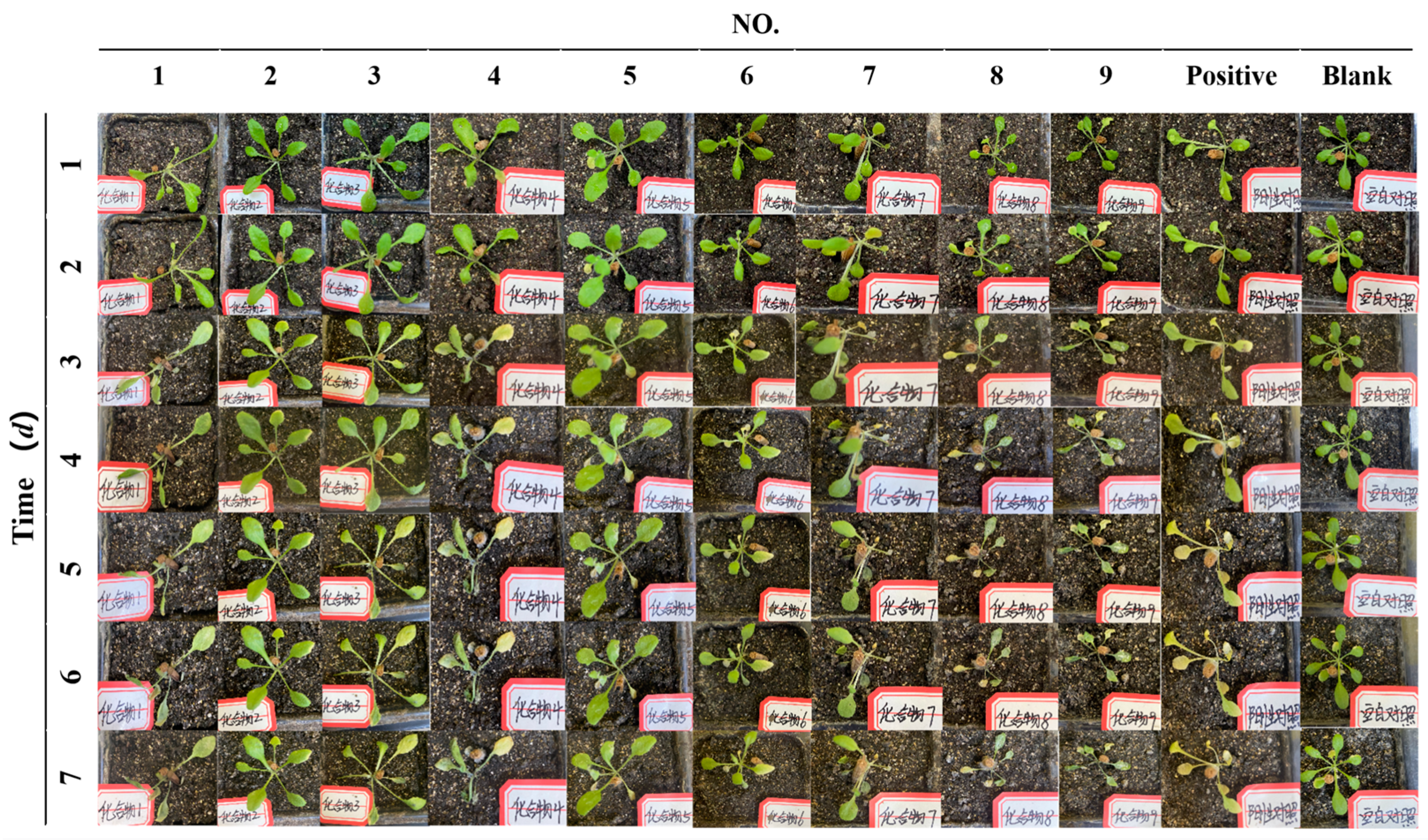 Jof 10 00809 g004 Jof 10 00809 g004