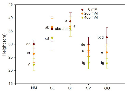 Effects of ECMF Isolated from Mining Areas on Water Status