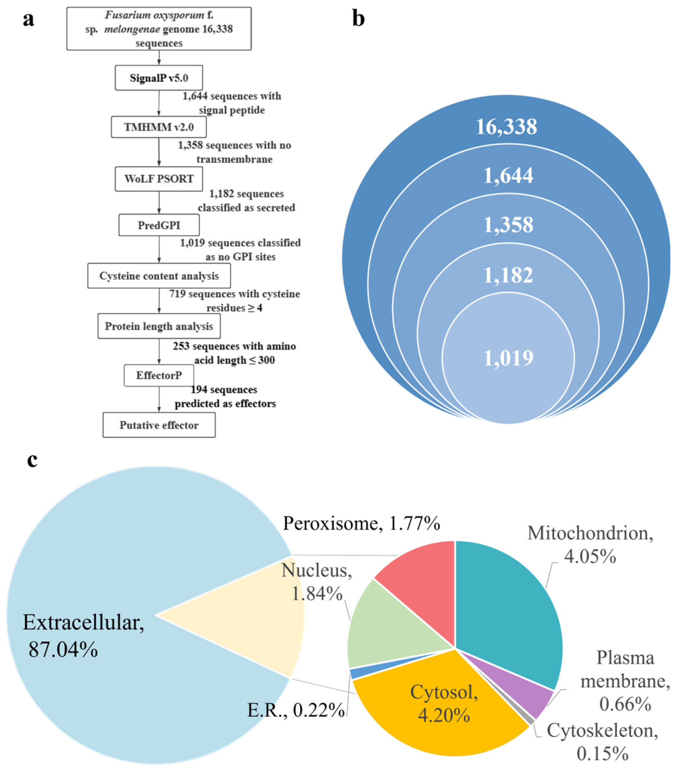 Frontiers | SARS-CoV-2 and the Missing Link of Intermediate