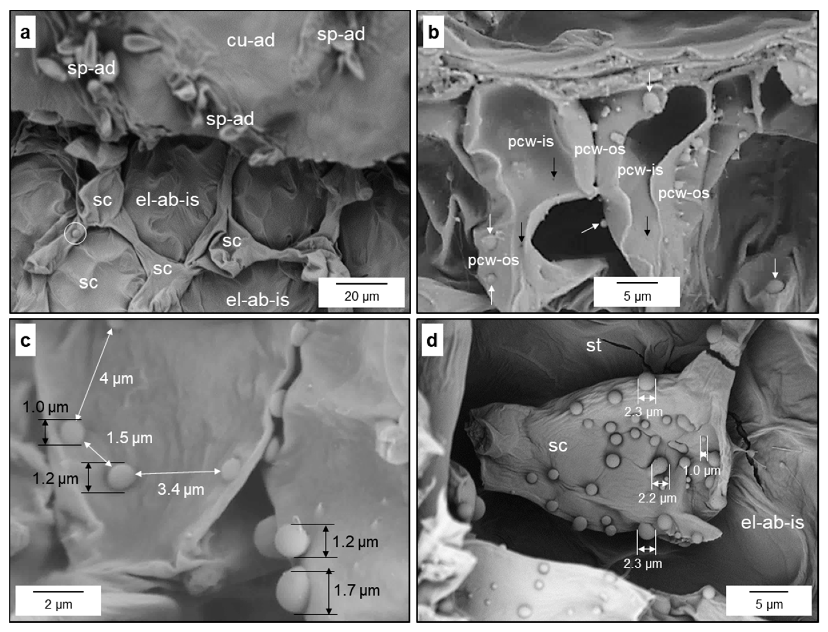 Jof 10 00831 g009 Jof 10 00831 g009