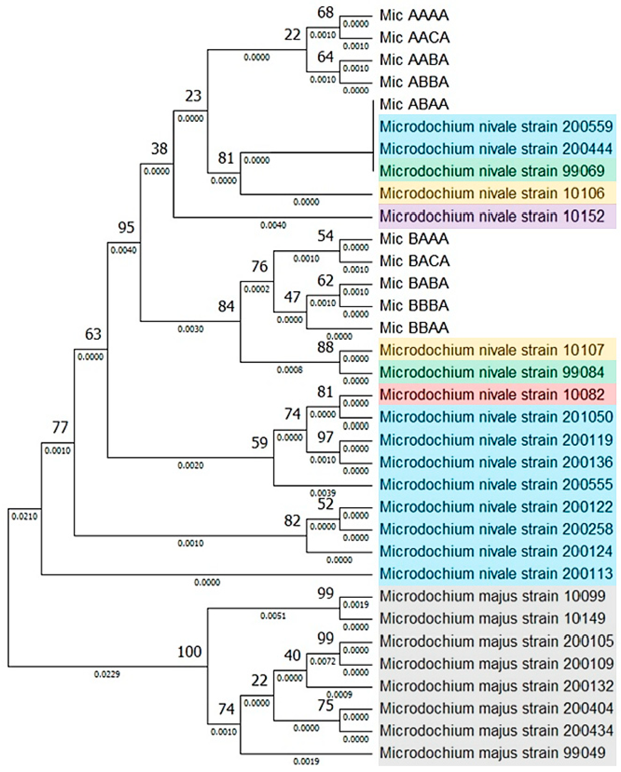 Jof 10 00841 g003 Jof 10 00841 g003