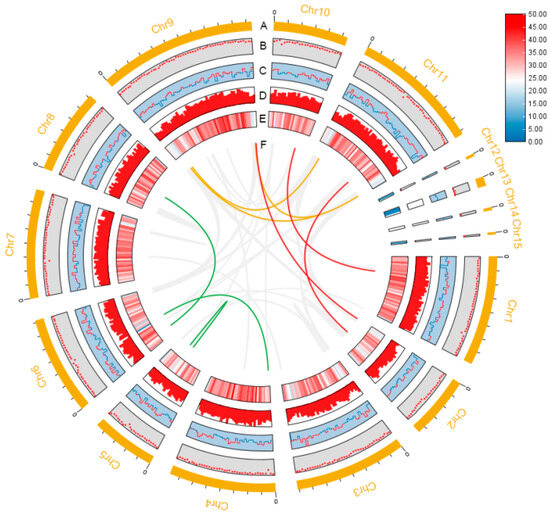 Genome Sequencing and Metabolic Potential Analysis of Irpex
