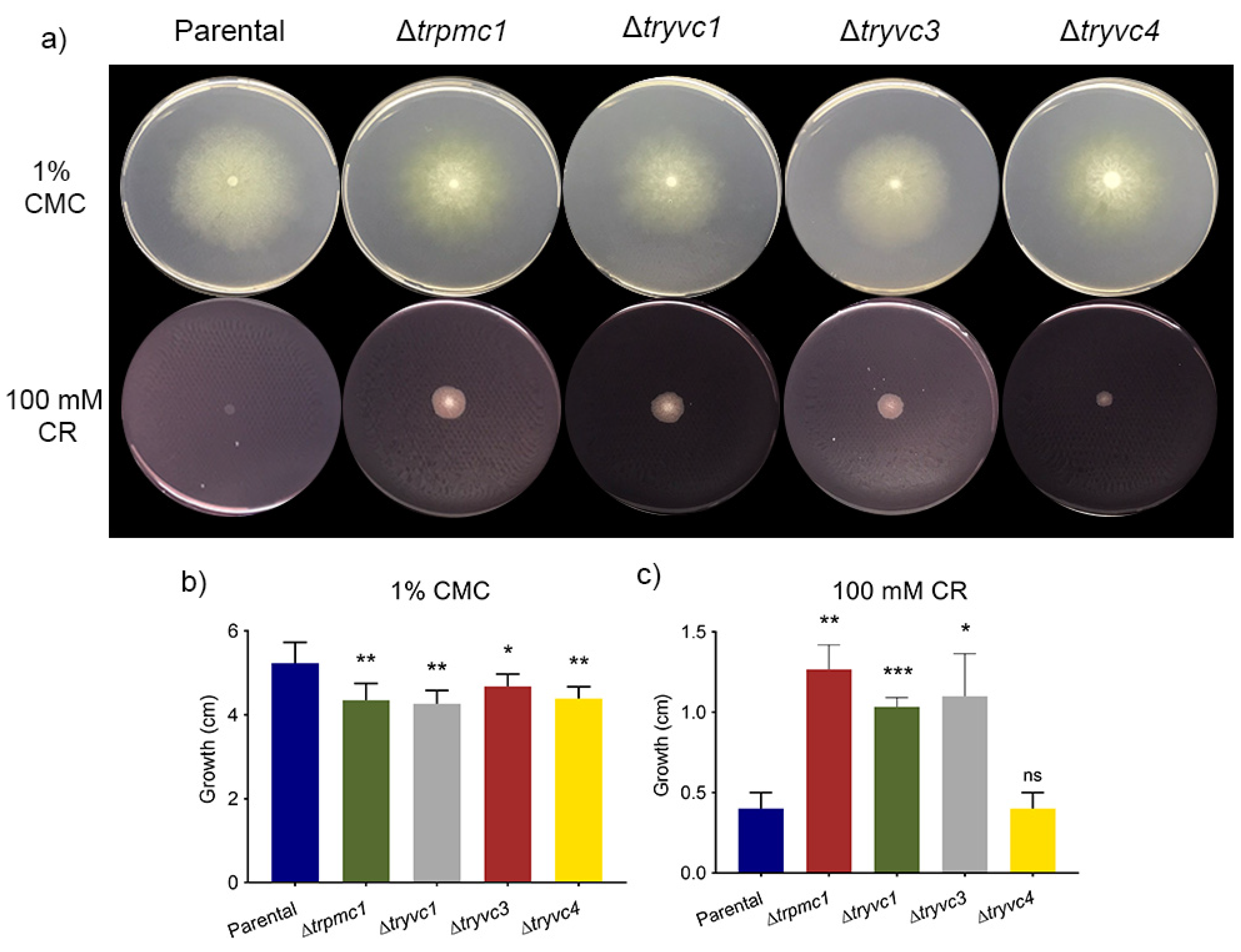 Jof 10 00853 g006 Jof 10 00853 g006