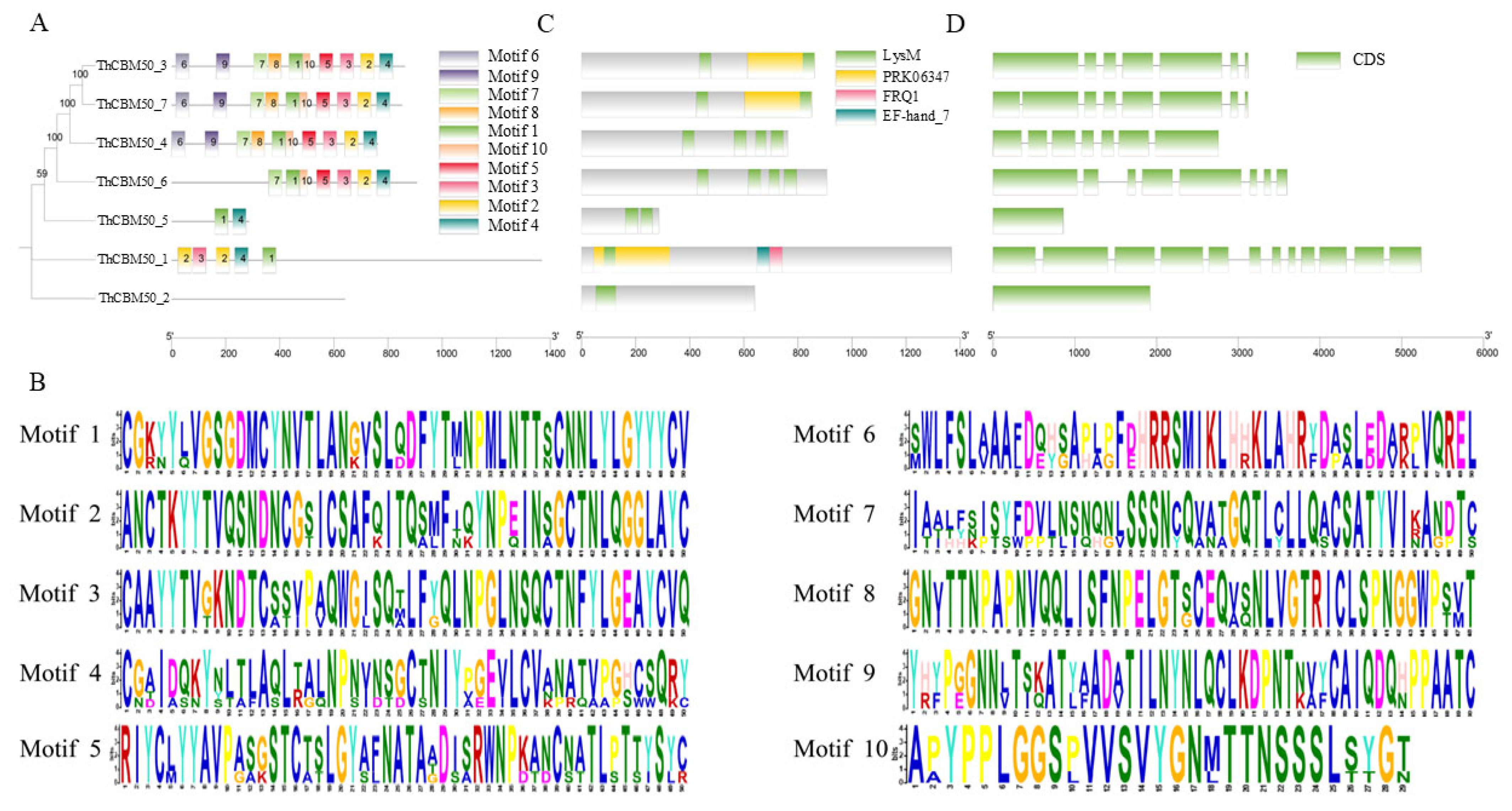 Jof 10 00856 g002 Jof 10 00856 g002