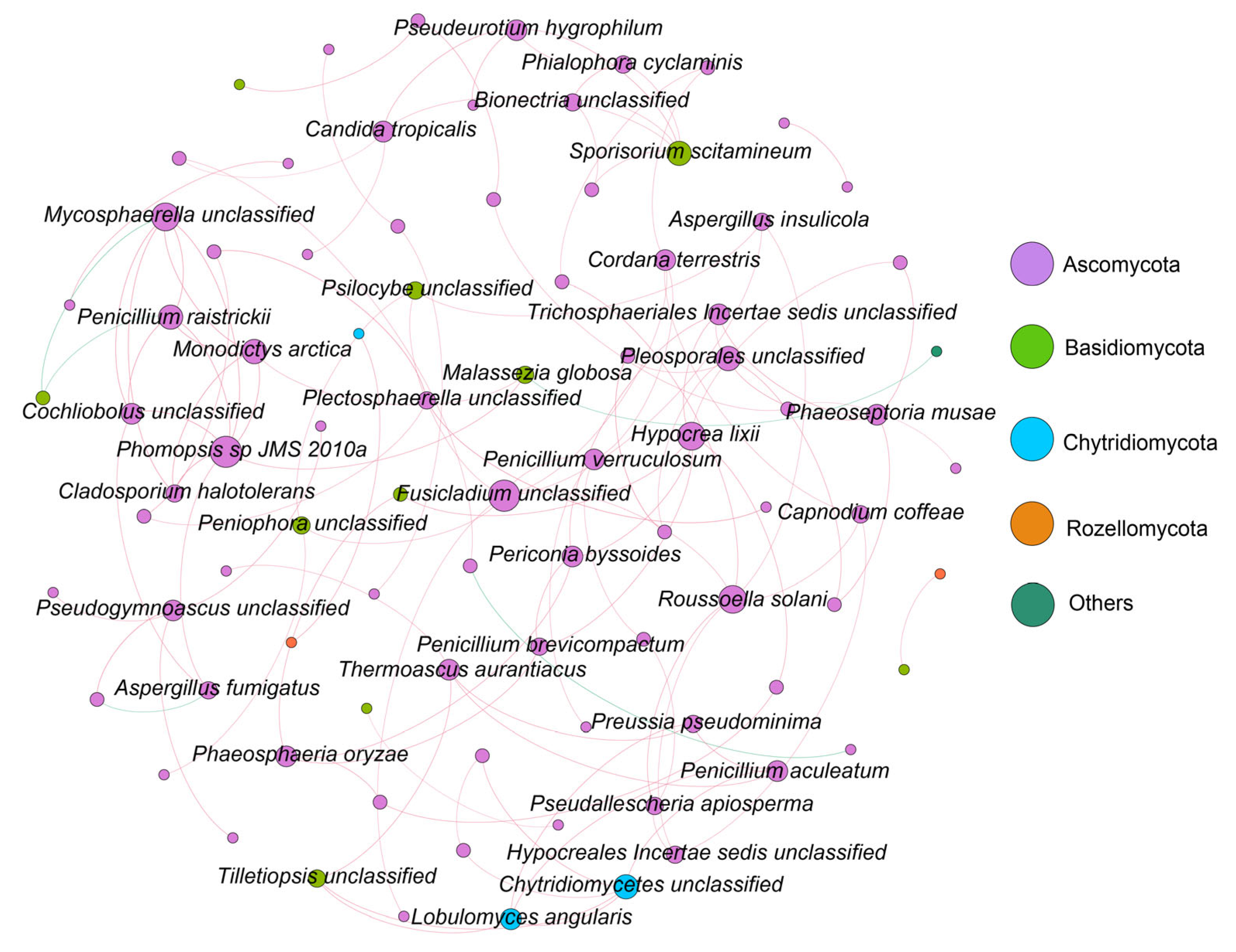 Jof 10 00867 g005 Jof 10 00867 g005