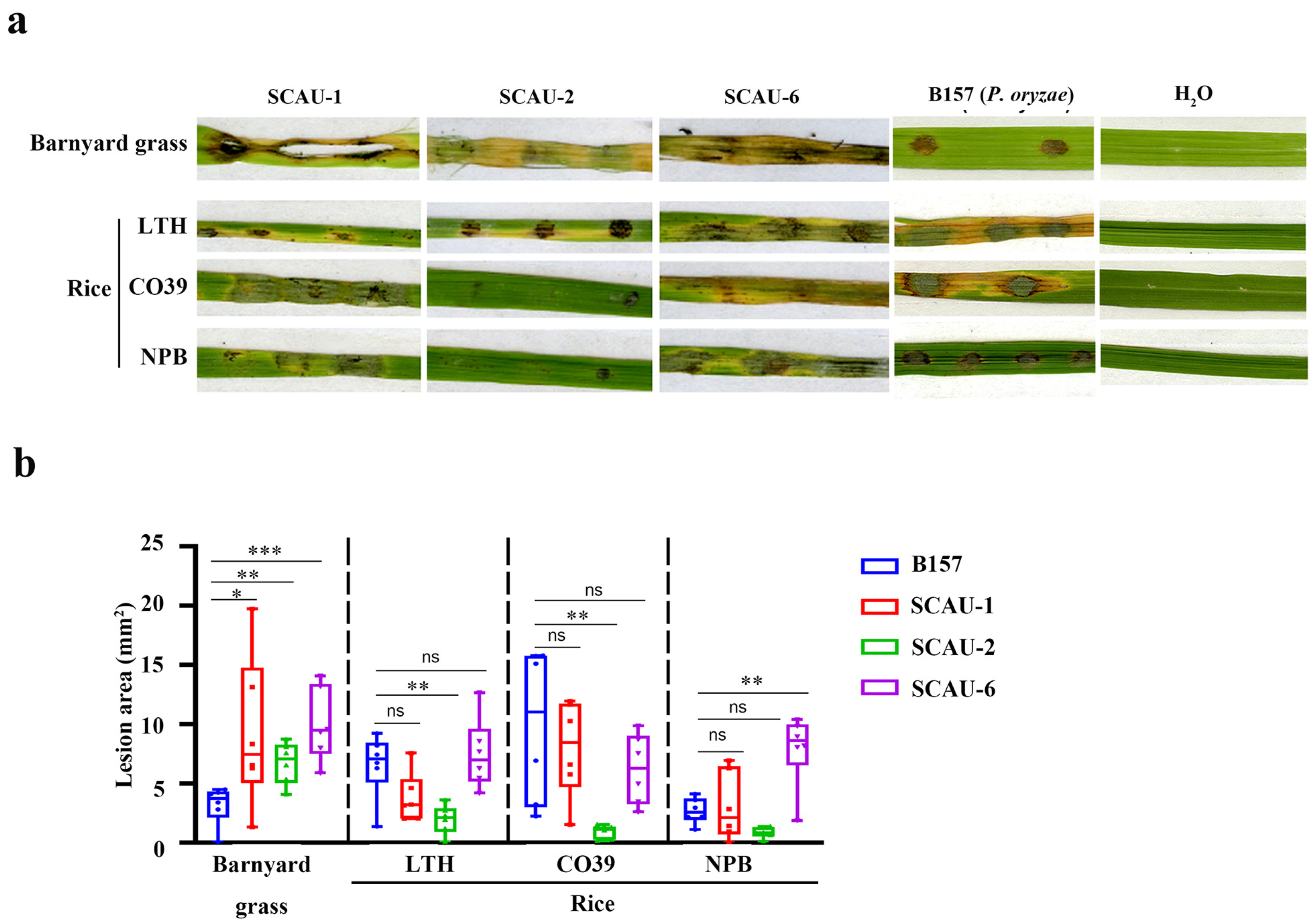 Jof 10 00868 g002 Jof 10 00868 g002