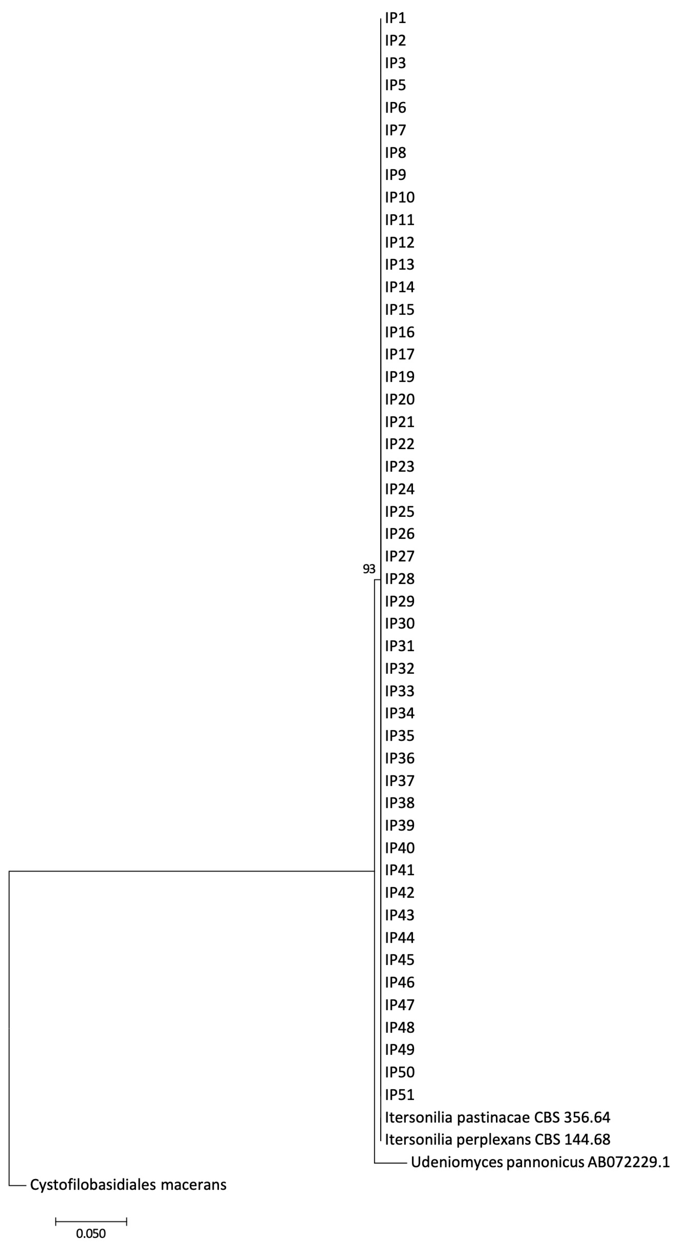 Jof 10 00873 g007 Jof 10 00873 g007