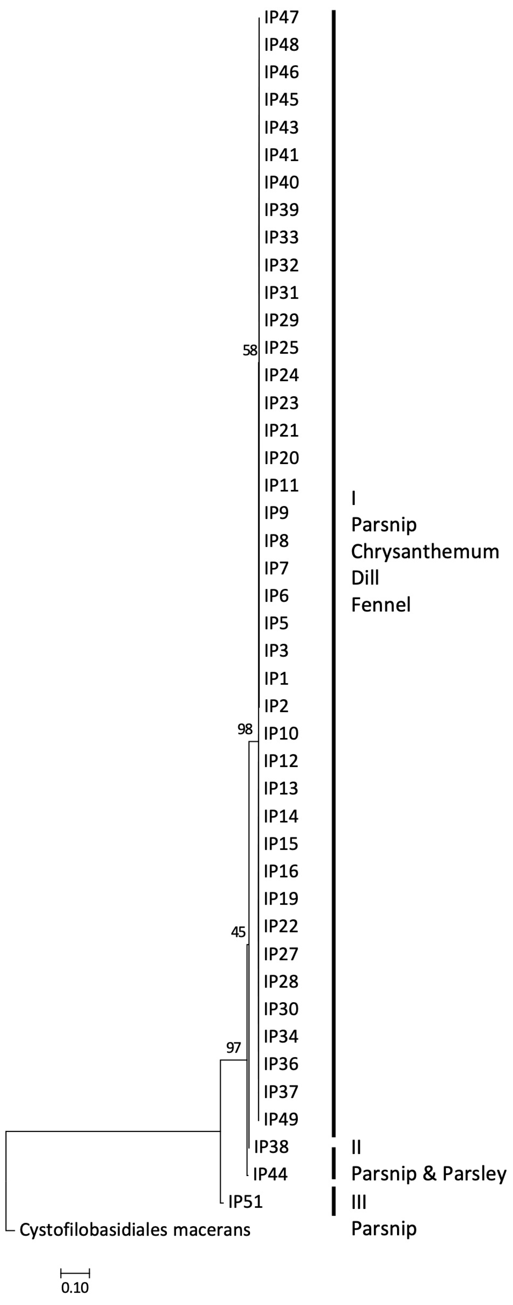 Jof 10 00873 g008 Jof 10 00873 g008