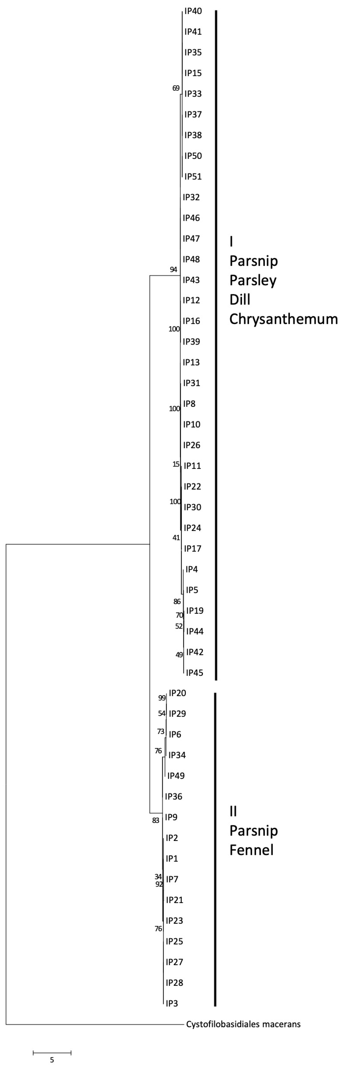 Jof 10 00873 g009 Jof 10 00873 g009