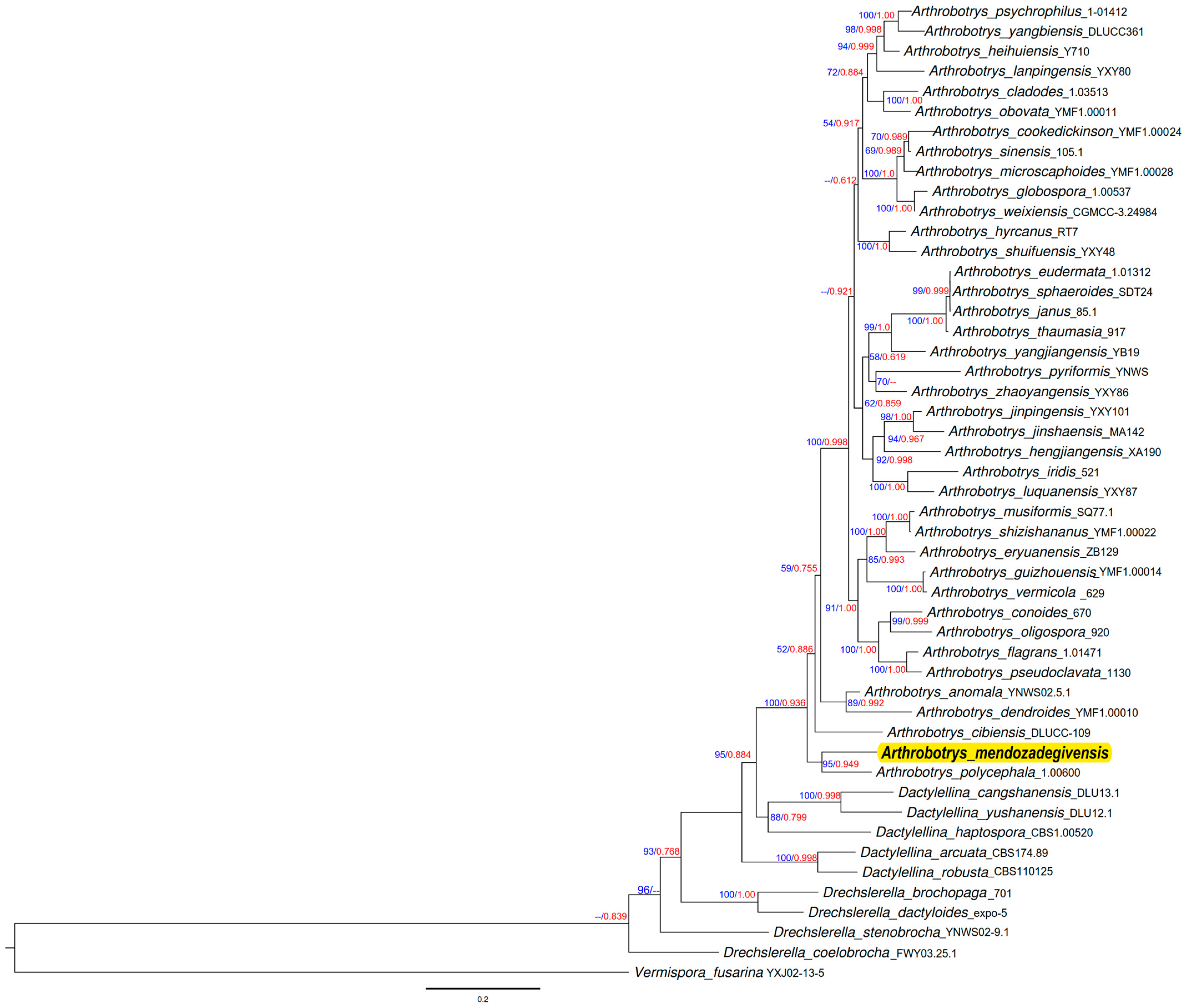 Jof 10 00888 g005 Jof 10 00888 g005