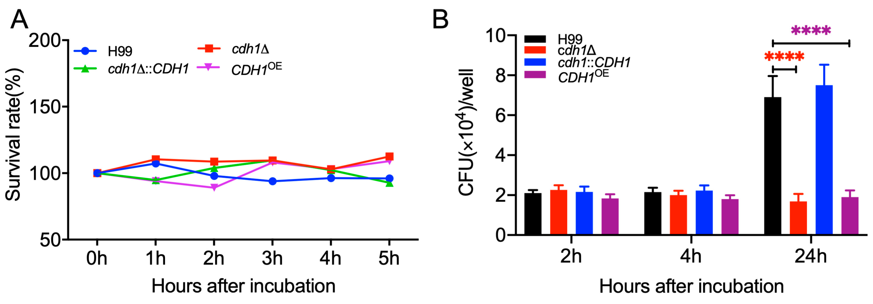 Jof 10 00891 g006 Jof 10 00891 g006