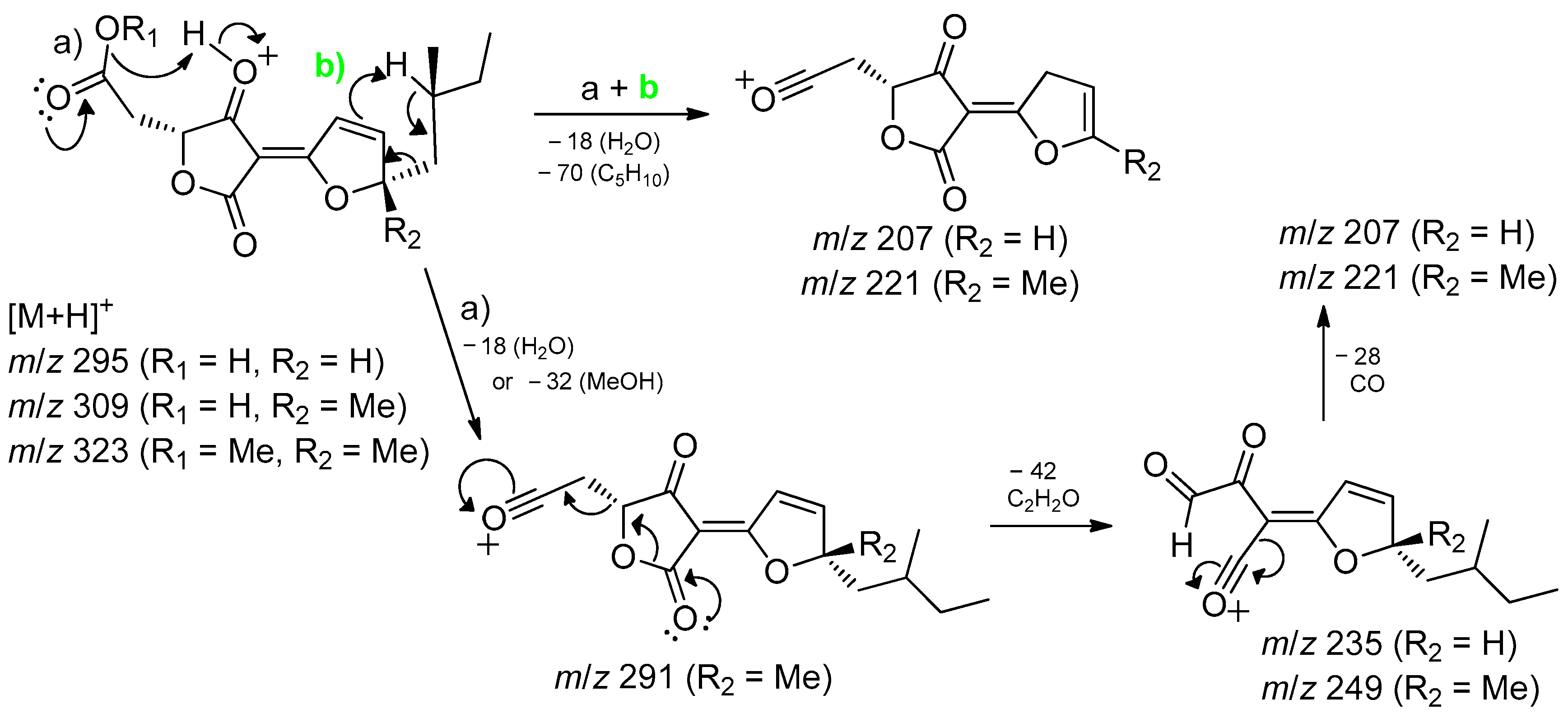 Jof 11 00022 g002 Jof 11 00022 g002