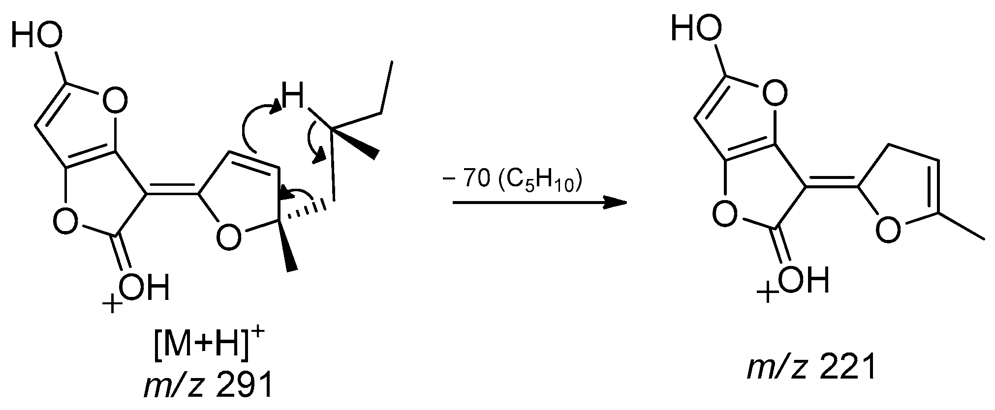 Jof 11 00022 g003 Jof 11 00022 g003