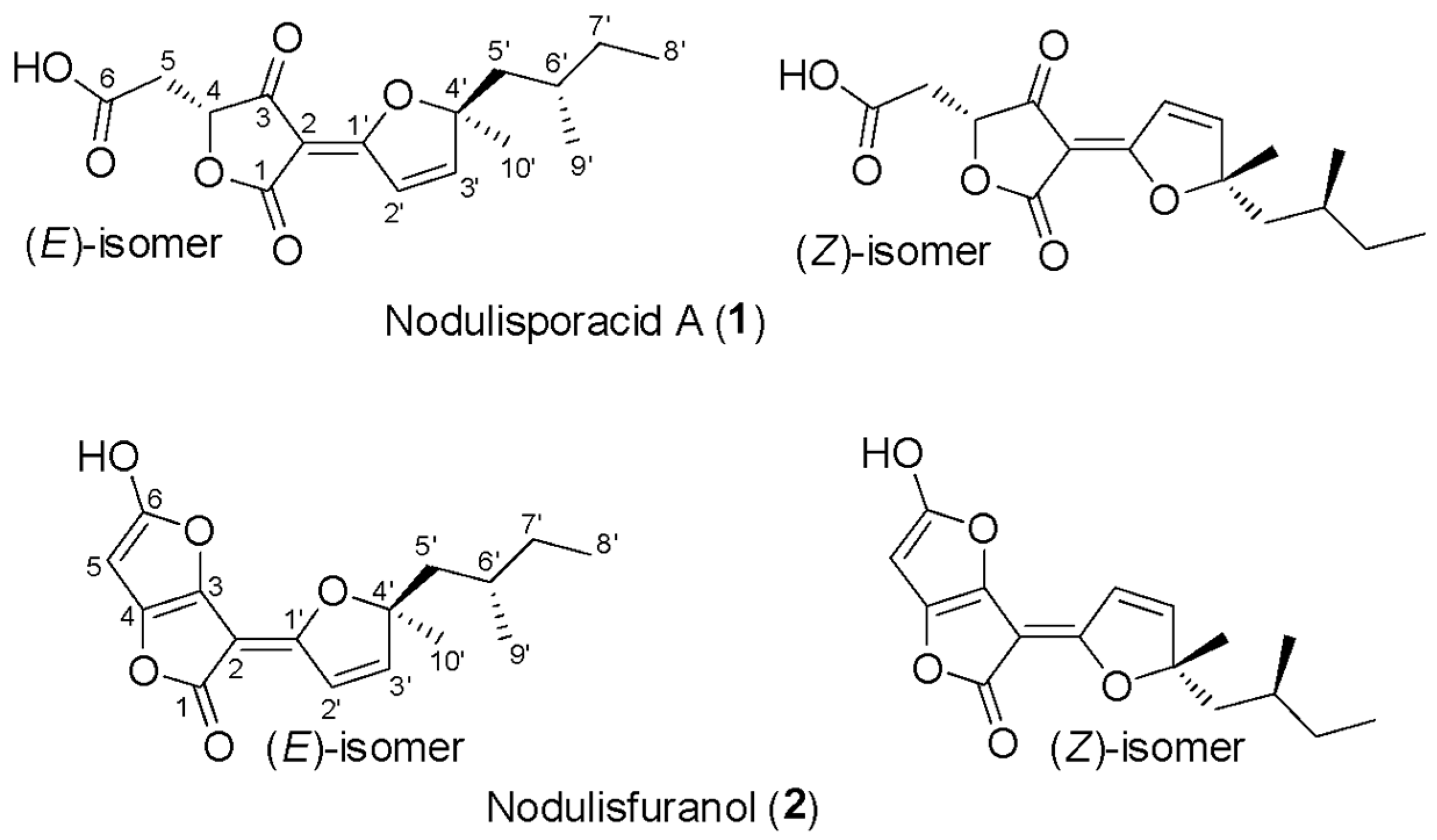Jof 11 00022 g004 Jof 11 00022 g004