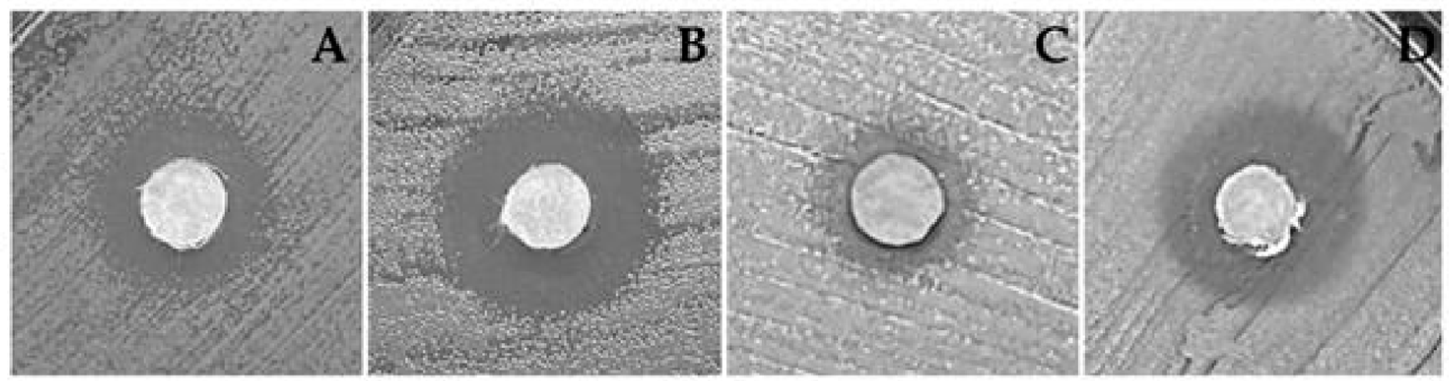 Jof 11 00022 g005 Jof 11 00022 g005