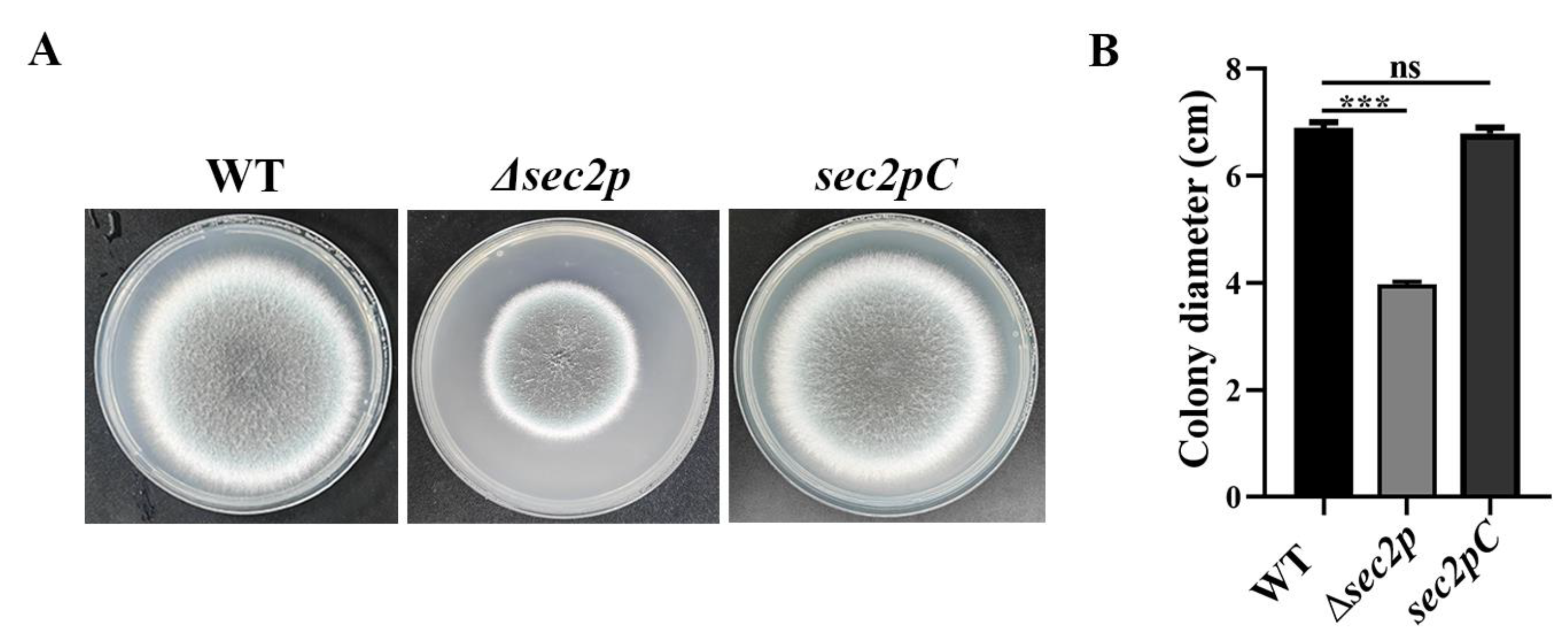 Jof 11 00036 g001 Jof 11 00036 g001