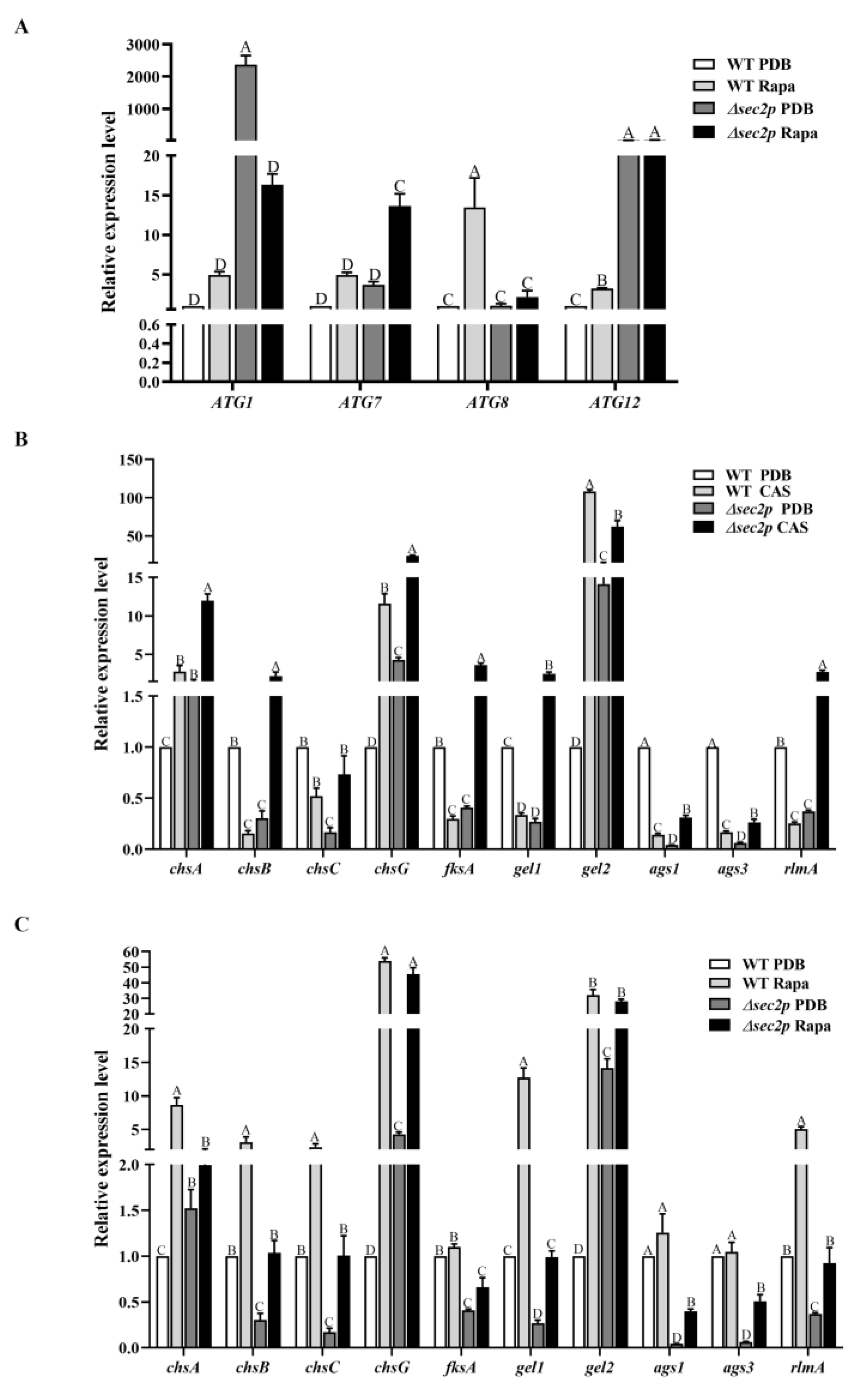 Jof 11 00036 g007 Jof 11 00036 g007