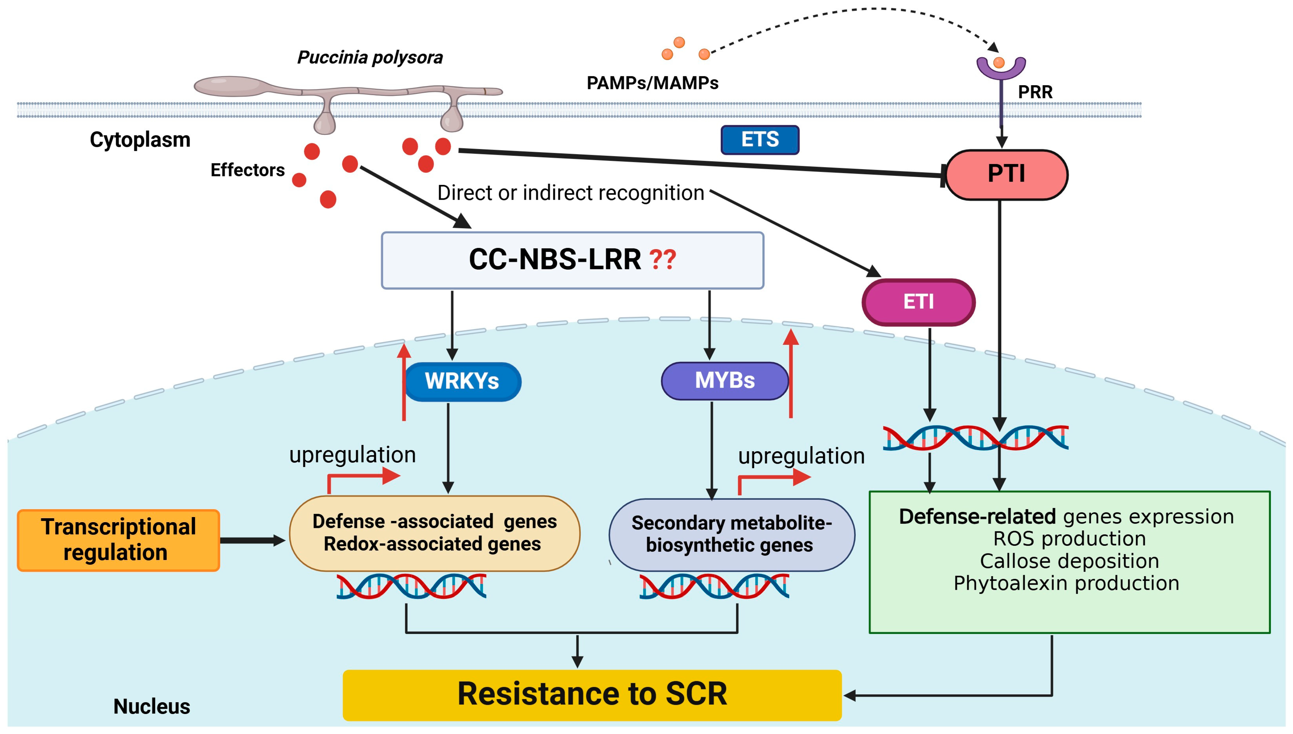 Jof 11 00041 g003 Jof 11 00041 g003