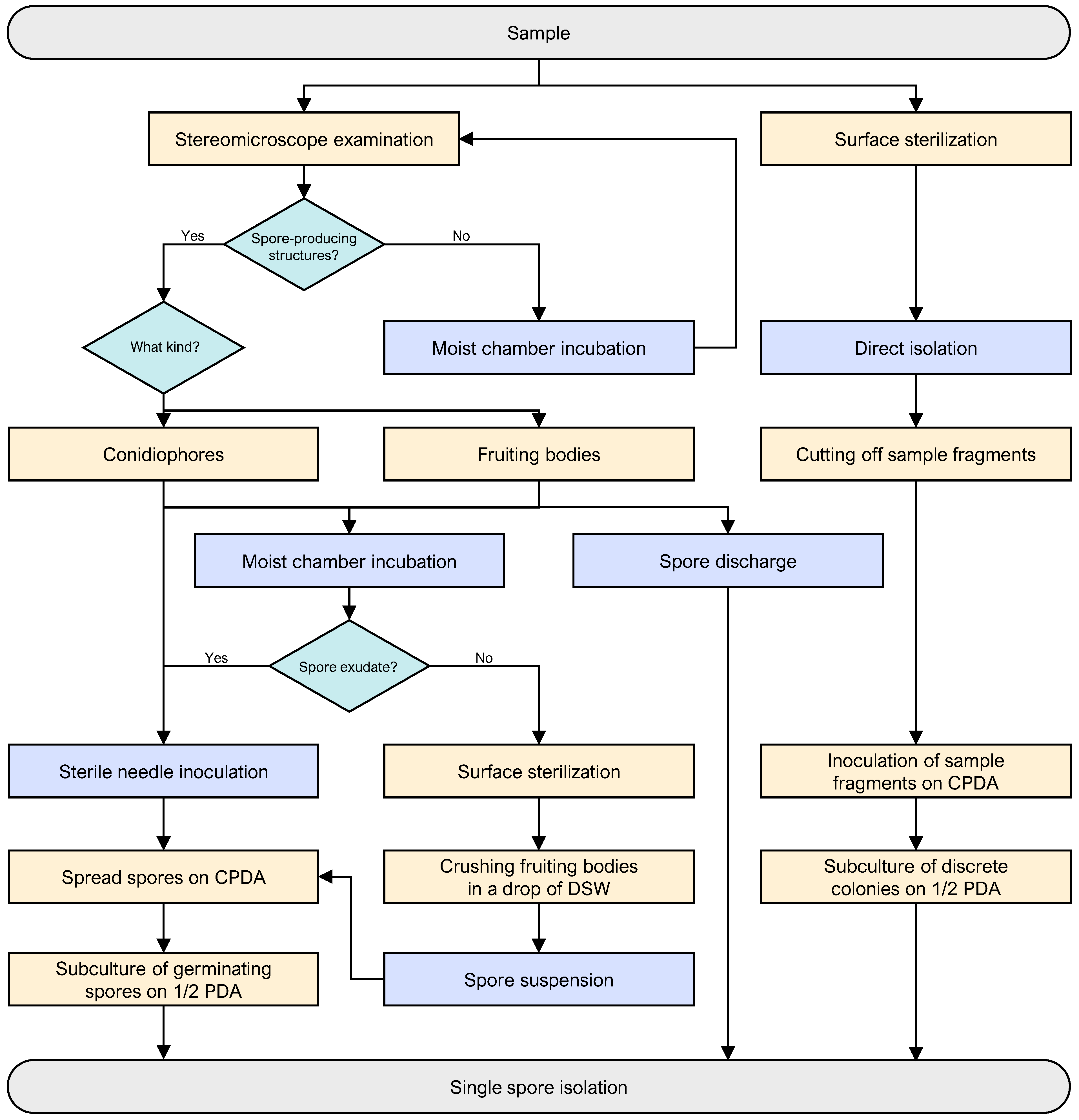 Jof 11 00043 g003 Jof 11 00043 g003