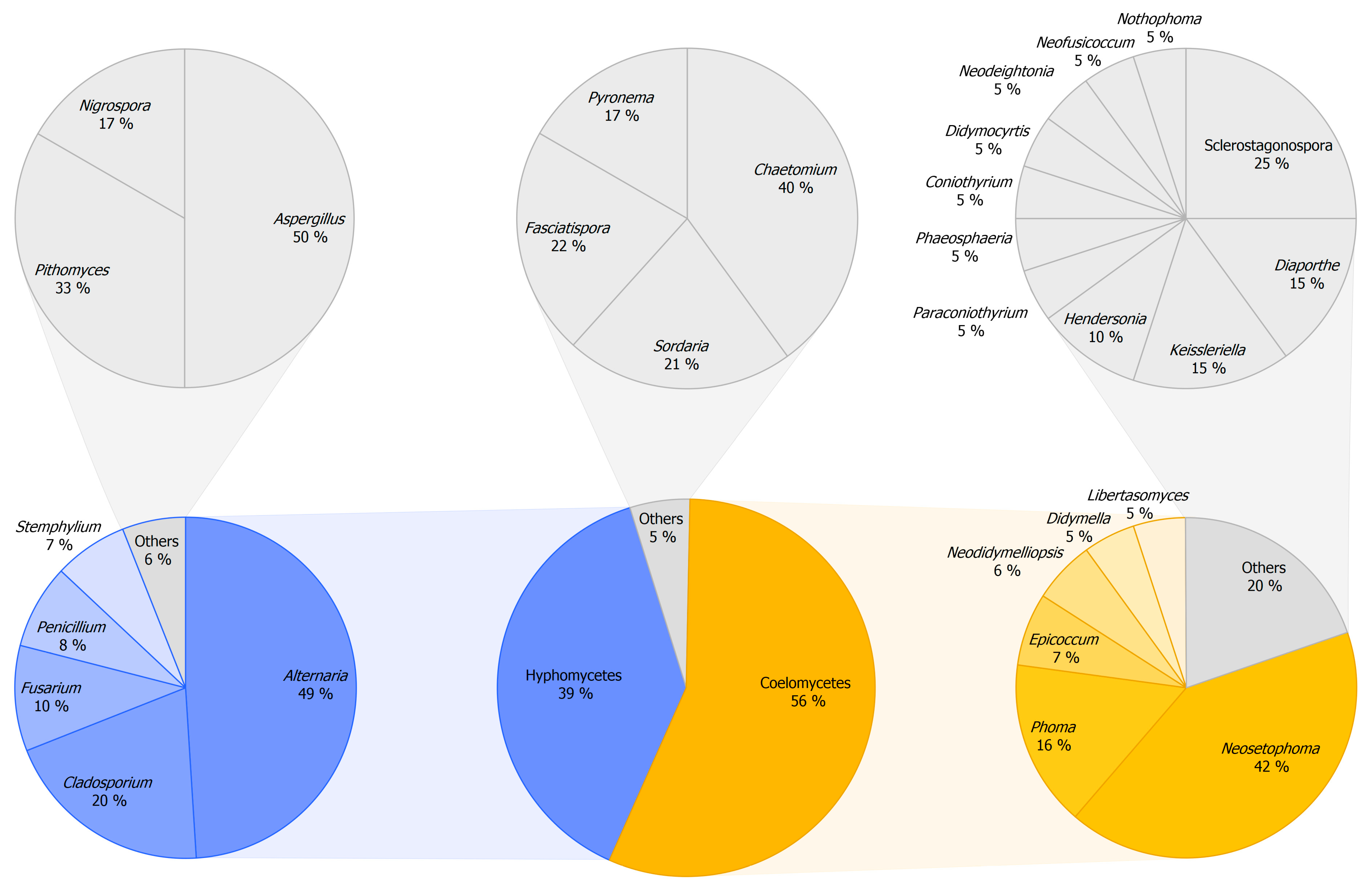 Jof 11 00043 g007 Jof 11 00043 g007