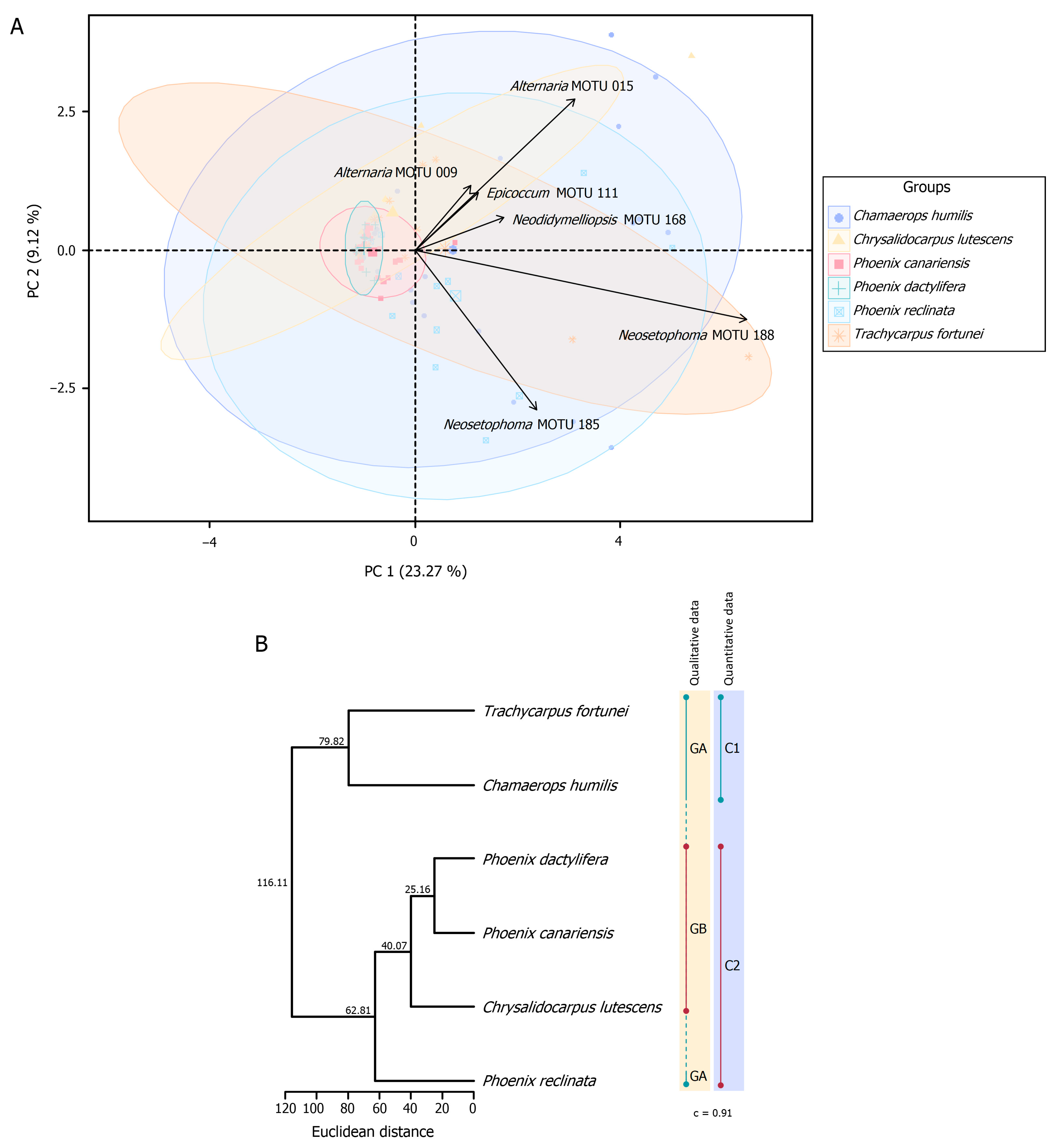 Jof 11 00043 g014 Jof 11 00043 g014