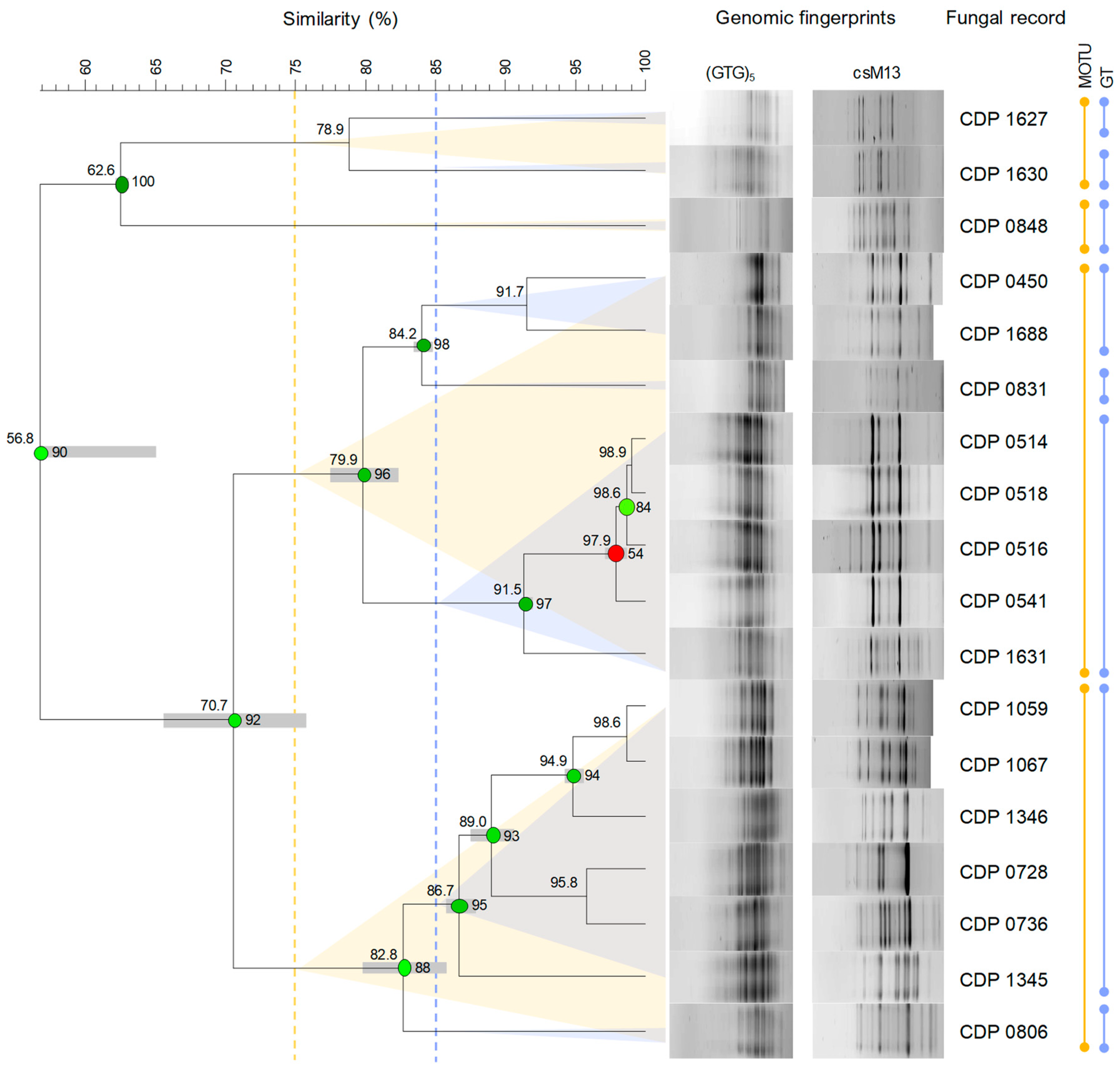 Jof 11 00043 g0a1 Jof 11 00043 g0a1