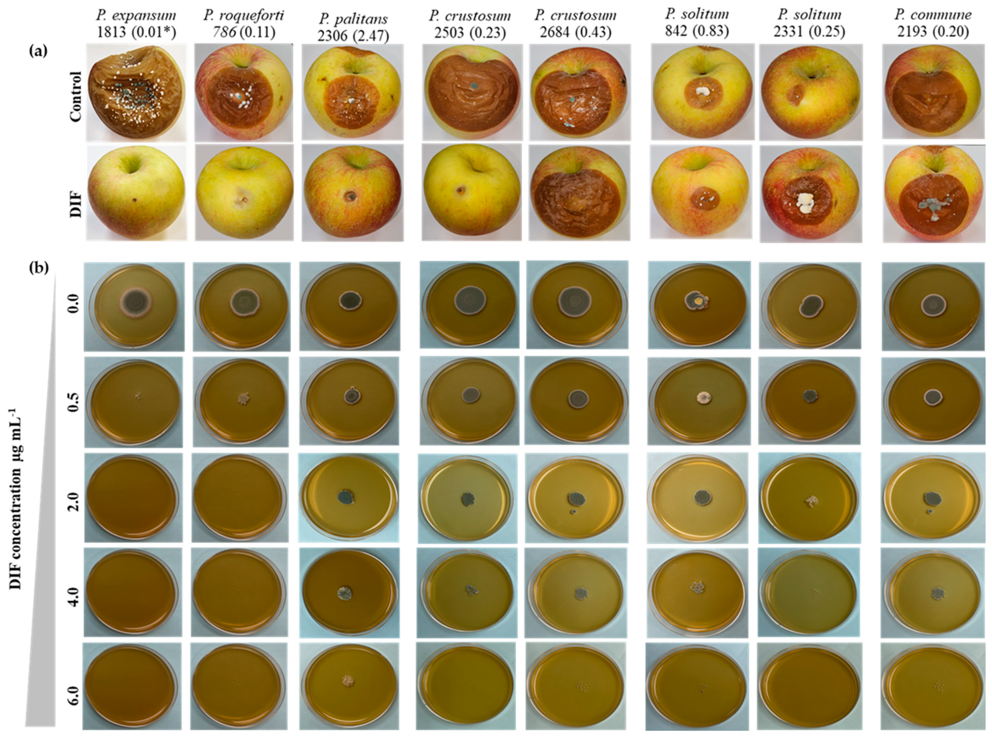 Jof 11 00061 g003 Jof 11 00061 g003