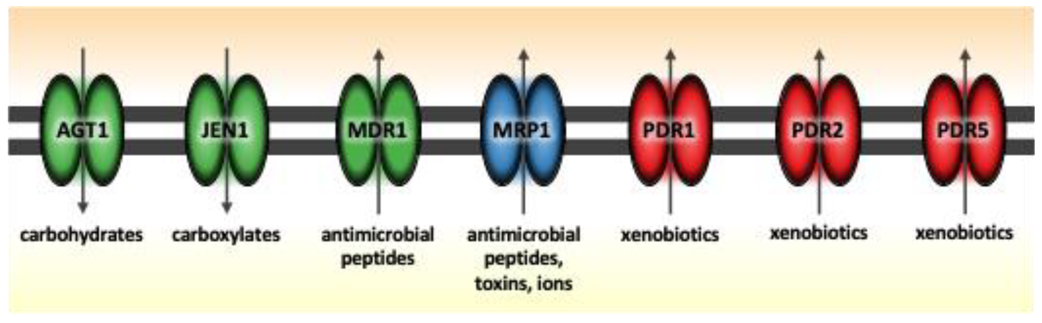 Jof 11 00063 g002 Jof 11 00063 g002