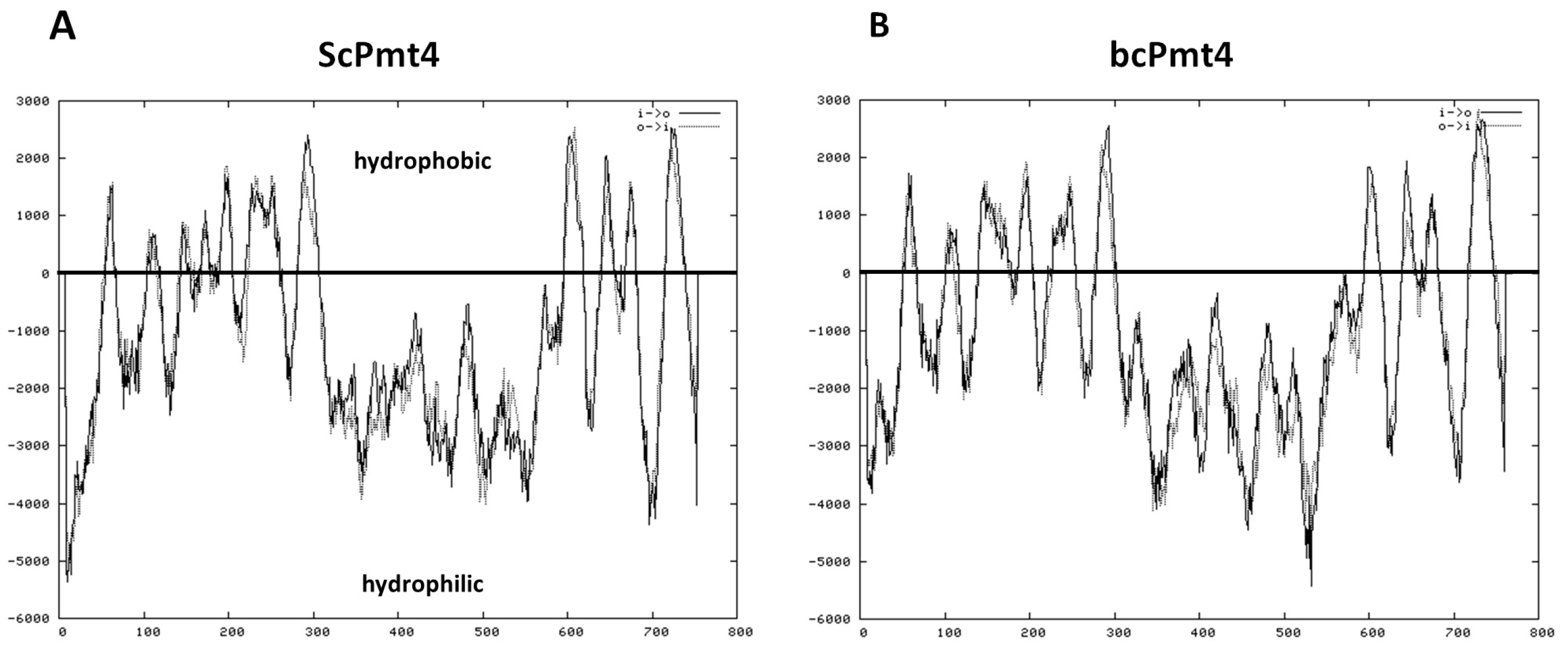 Jof 11 00071 g001 Jof 11 00071 g001