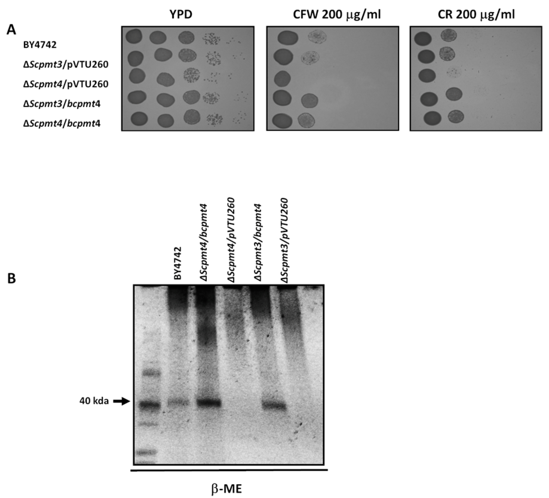 Jof 11 00071 g002 Jof 11 00071 g002