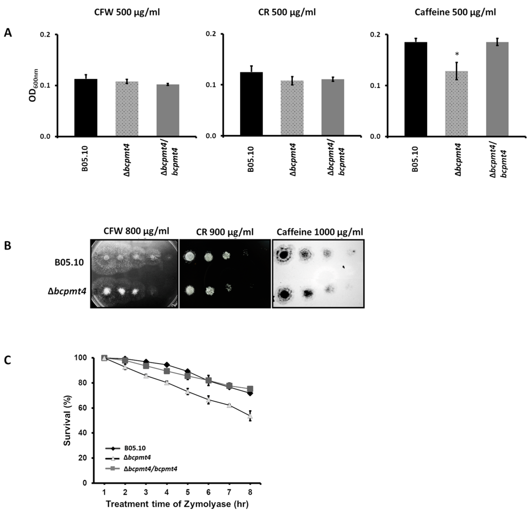 Jof 11 00071 g004 Jof 11 00071 g004