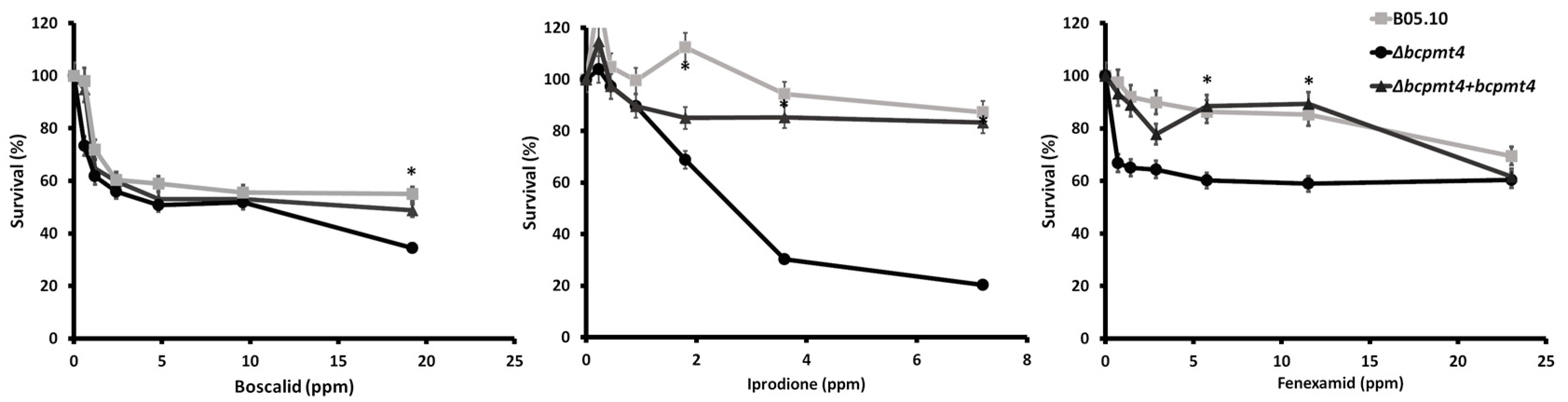 Jof 11 00071 g006 Jof 11 00071 g006