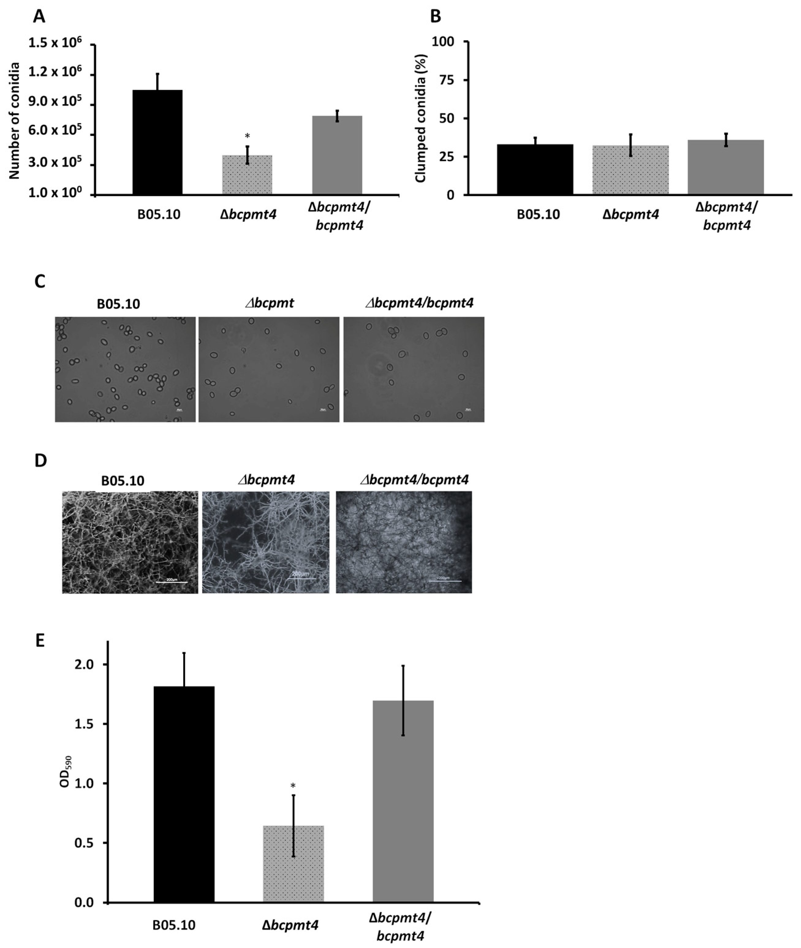 Jof 11 00071 g007 Jof 11 00071 g007