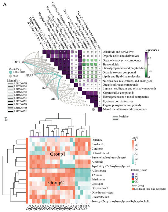 Influence of Drying Methods on the Morphological Features