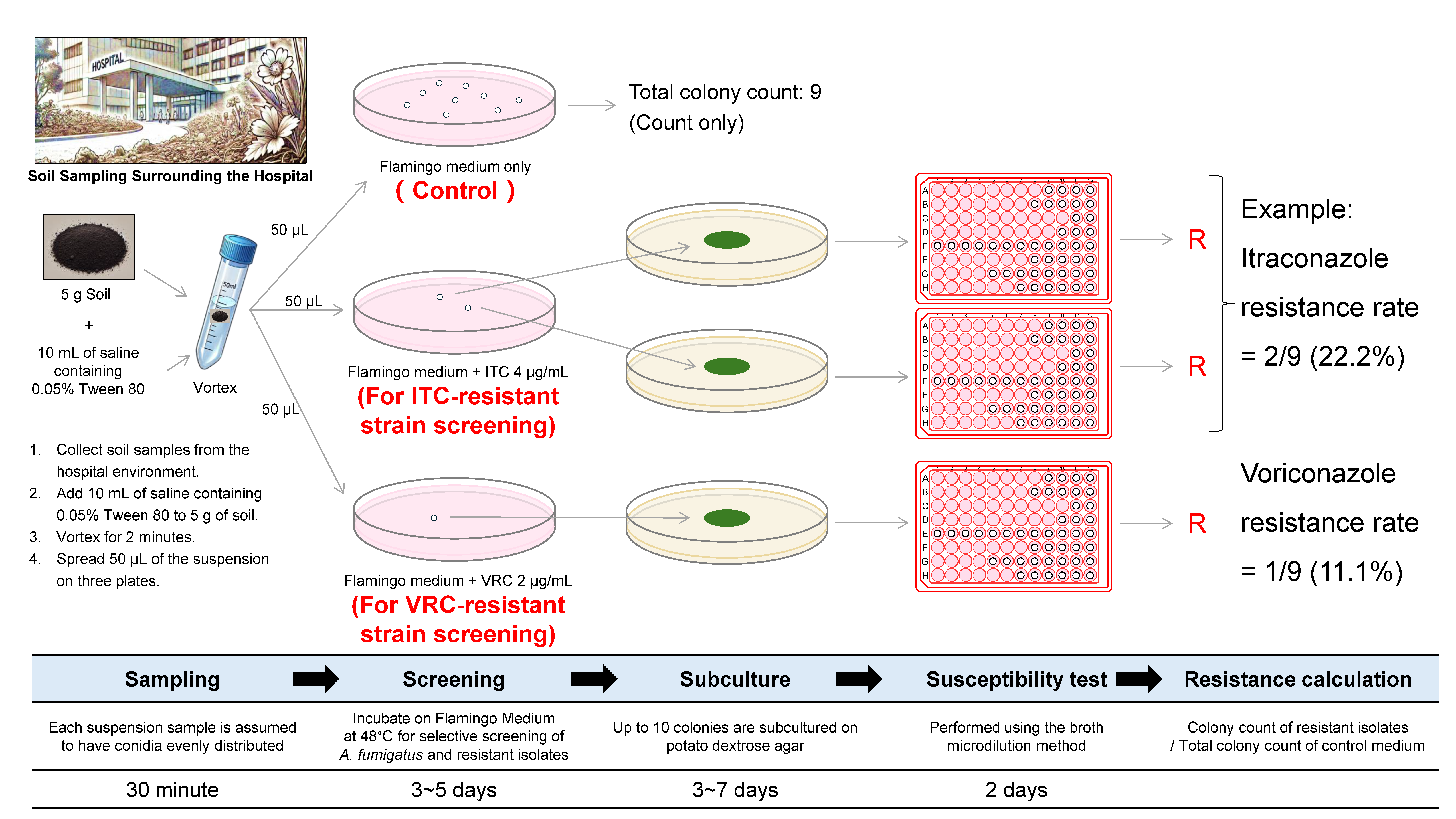 Jof 11 00096 g003 Jof 11 00096 g003