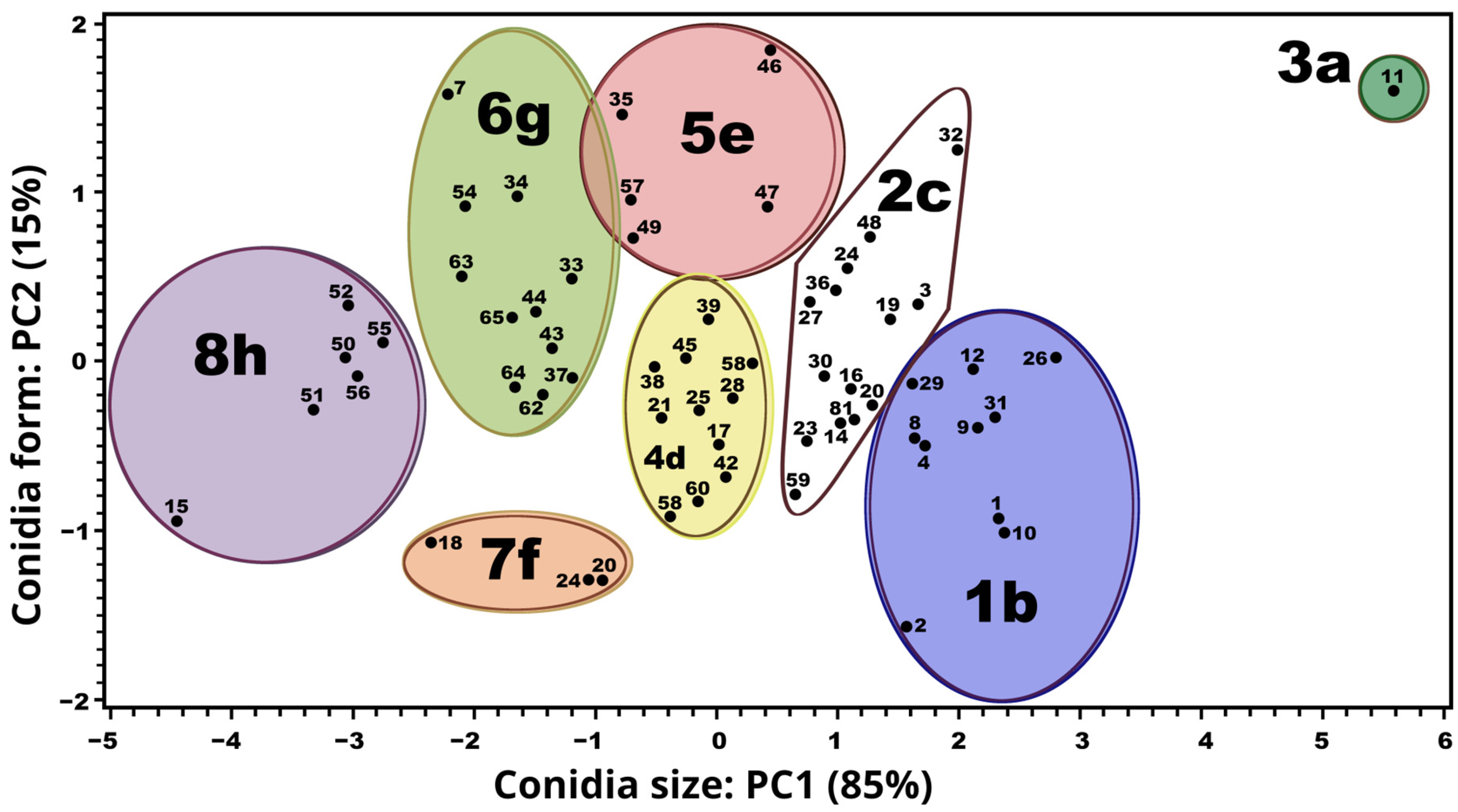 Jof 11 00109 g001 Jof 11 00109 g001
