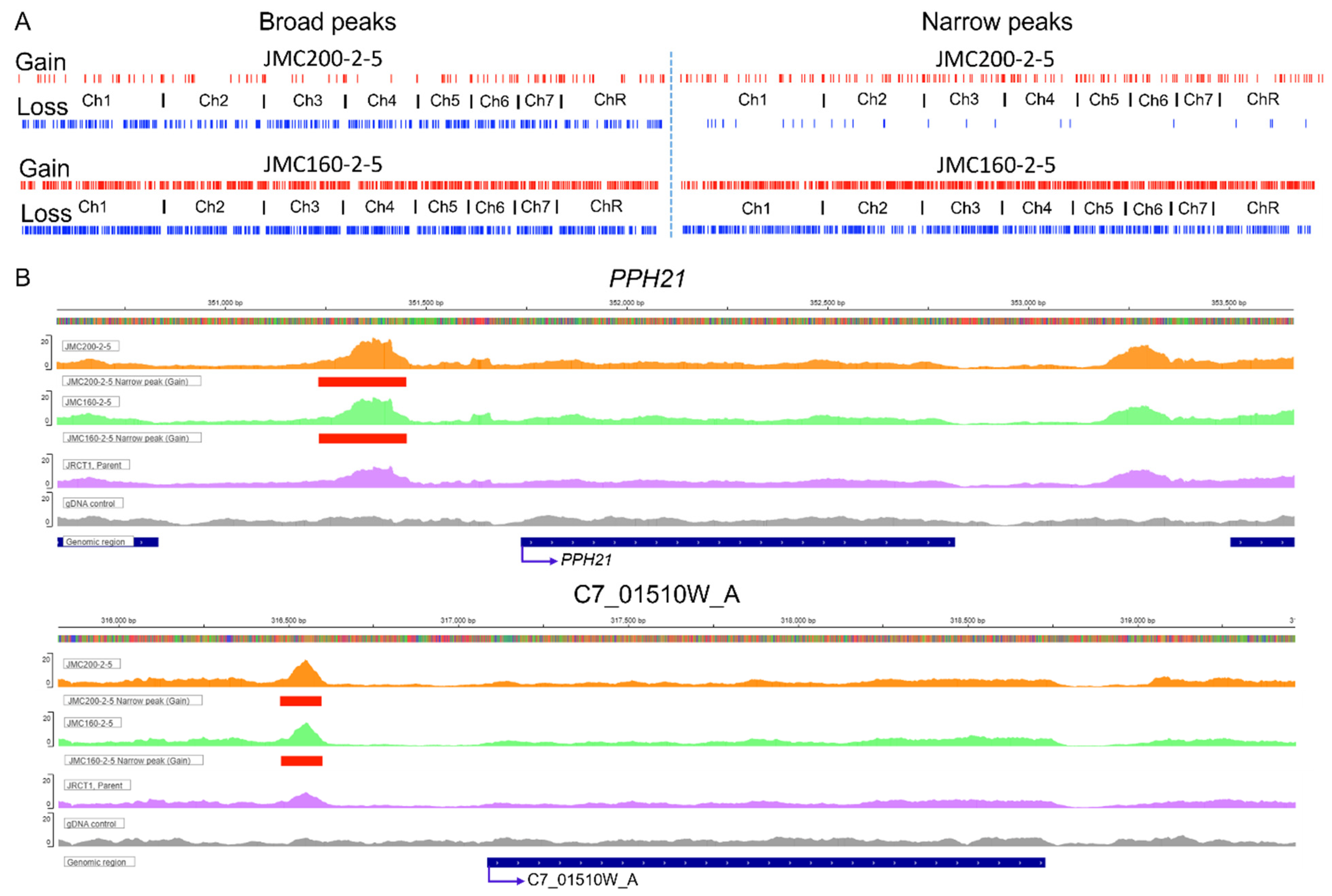 Jof 11 00110 g001 Jof 11 00110 g001