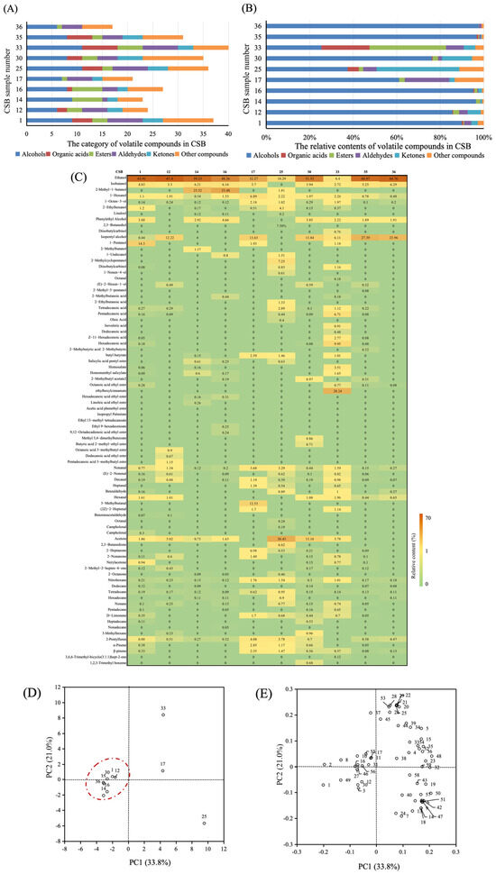 Comparative Genomics and Characterisation of the Role of