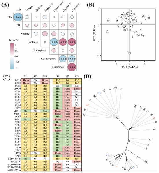 ファッション通販 安い Comparative Genomics and Characterisation of the Role of 人文