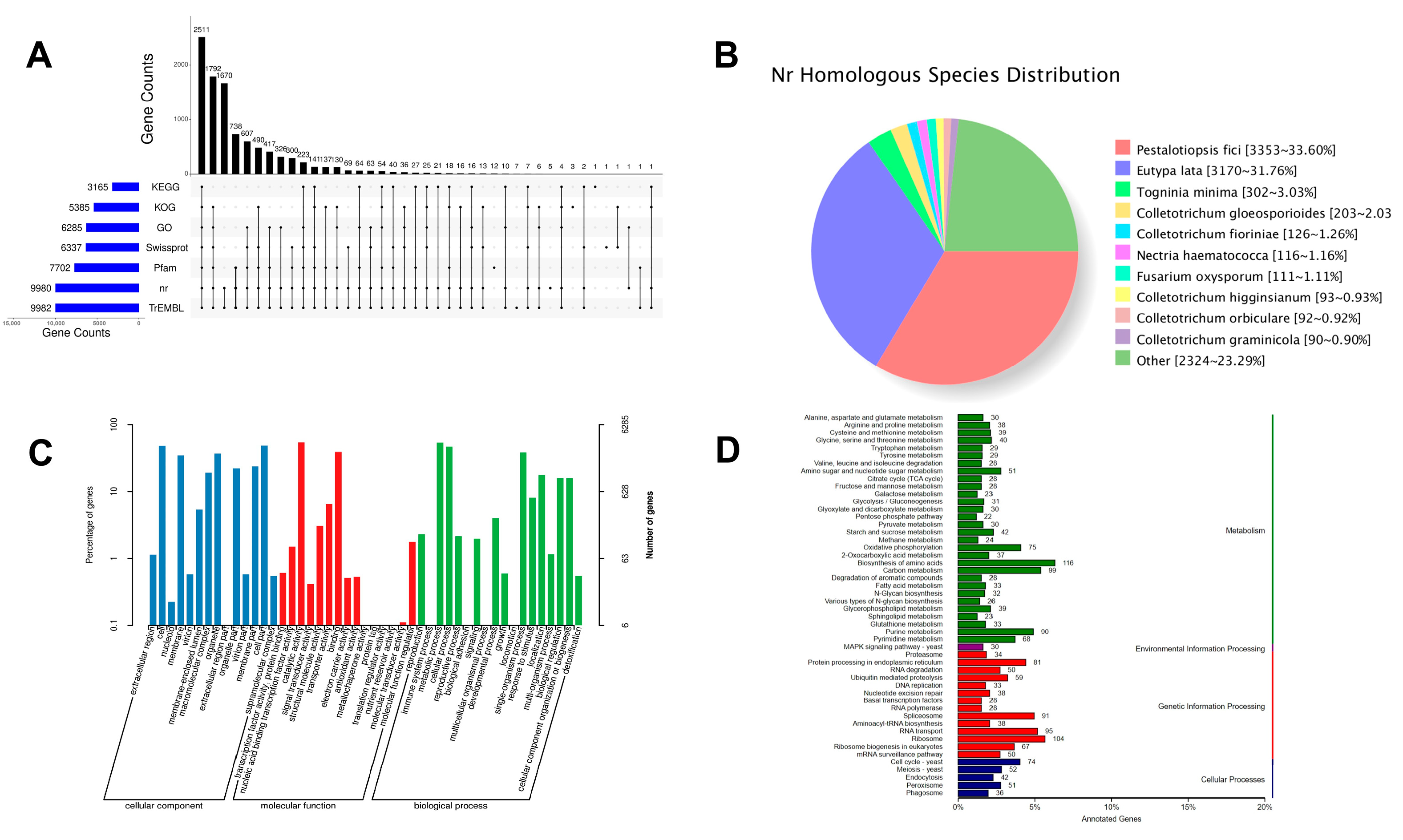 Jof 11 00115 g001 Jof 11 00115 g001