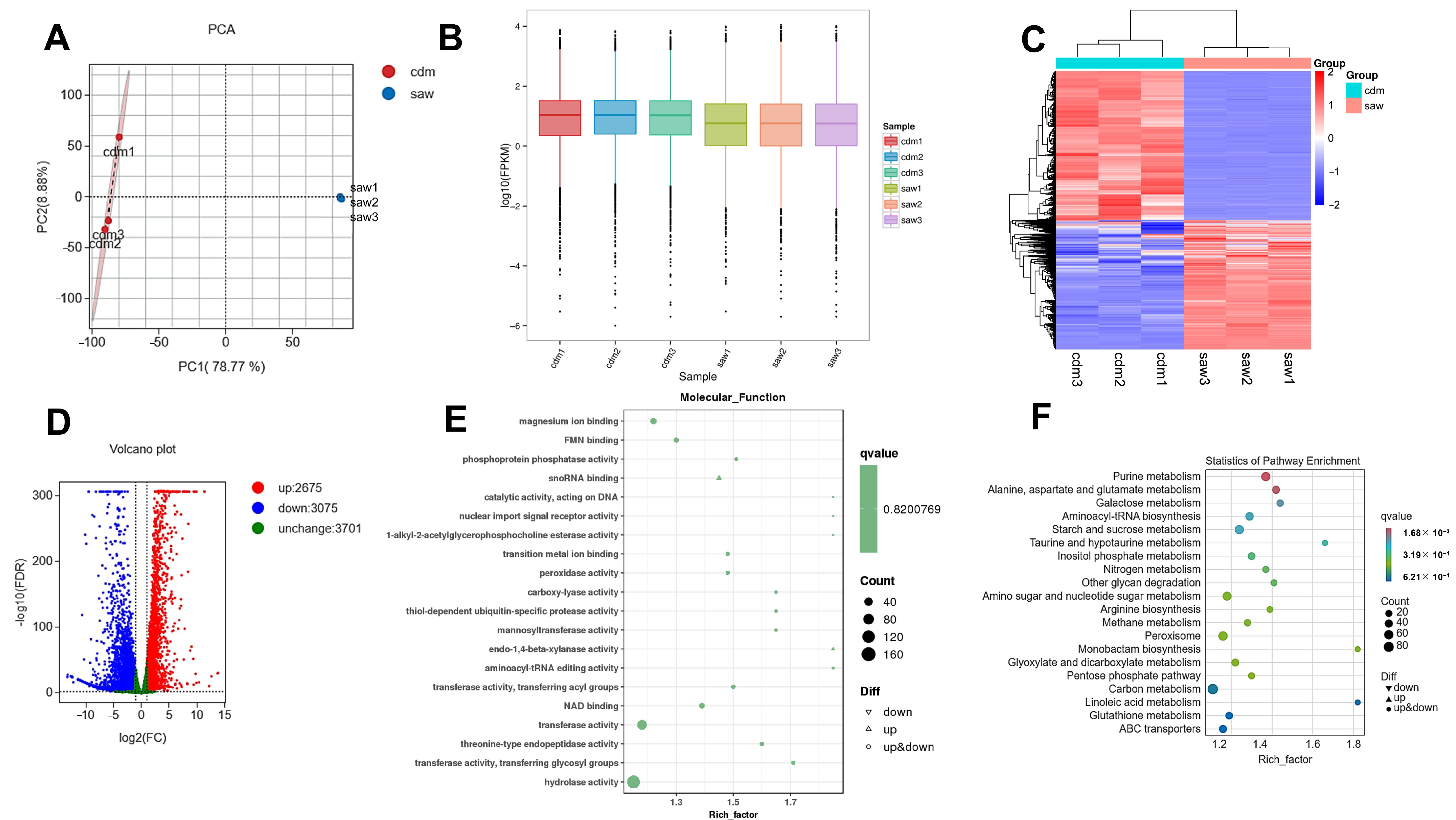 Jof 11 00115 g004 Jof 11 00115 g004