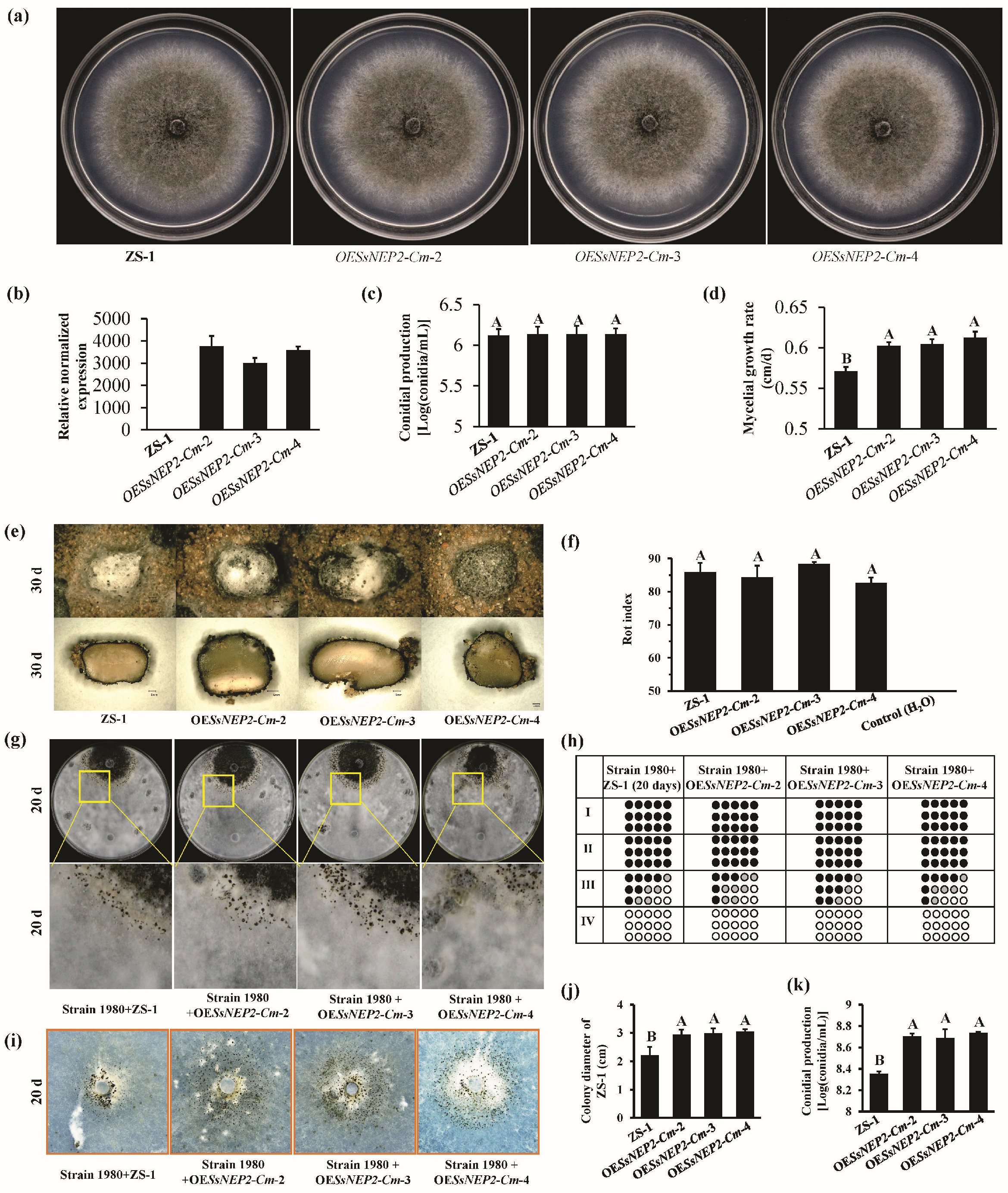 Jof 11 00151 g006 Jof 11 00151 g006
