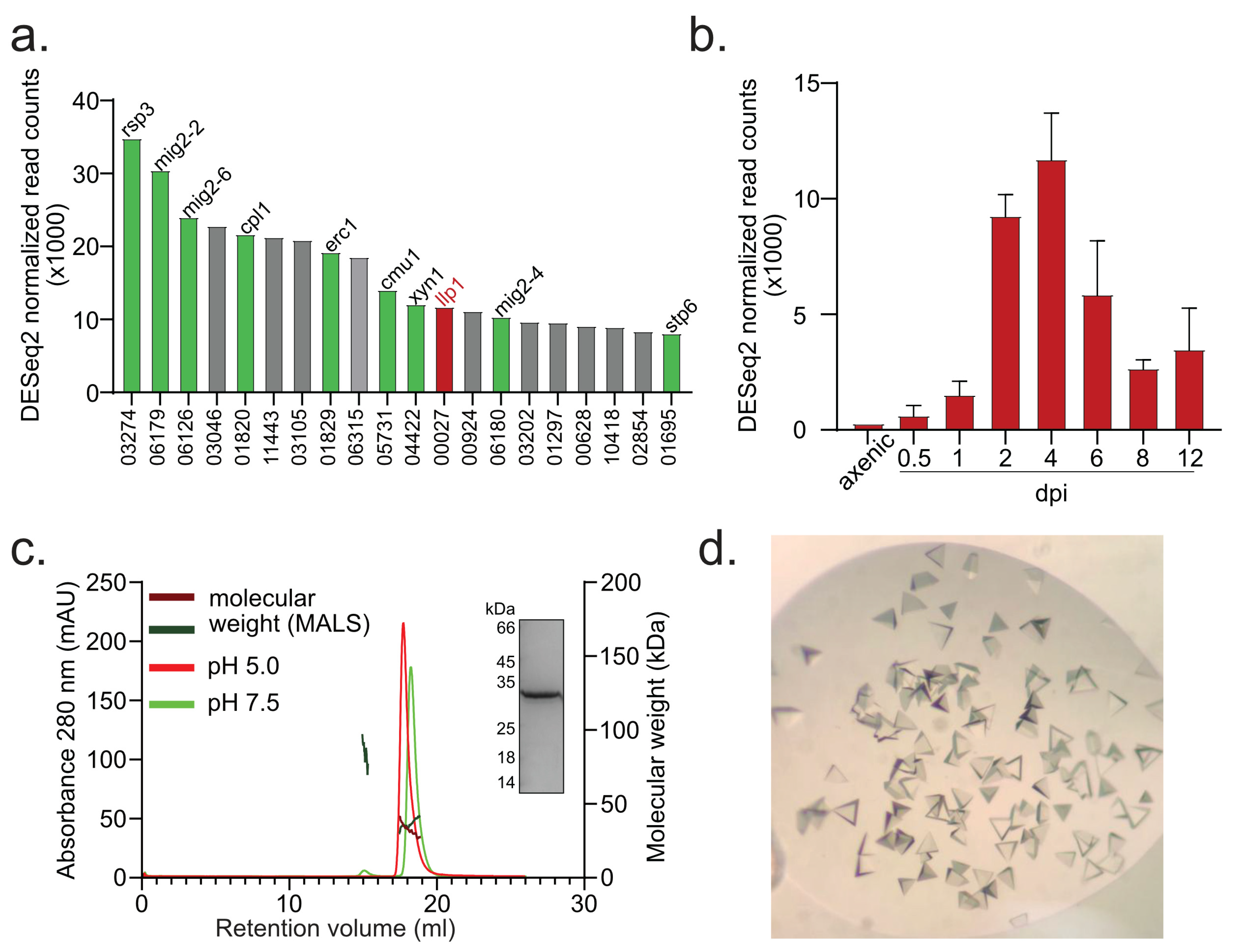 Jof 11 00164 g001 Jof 11 00164 g001