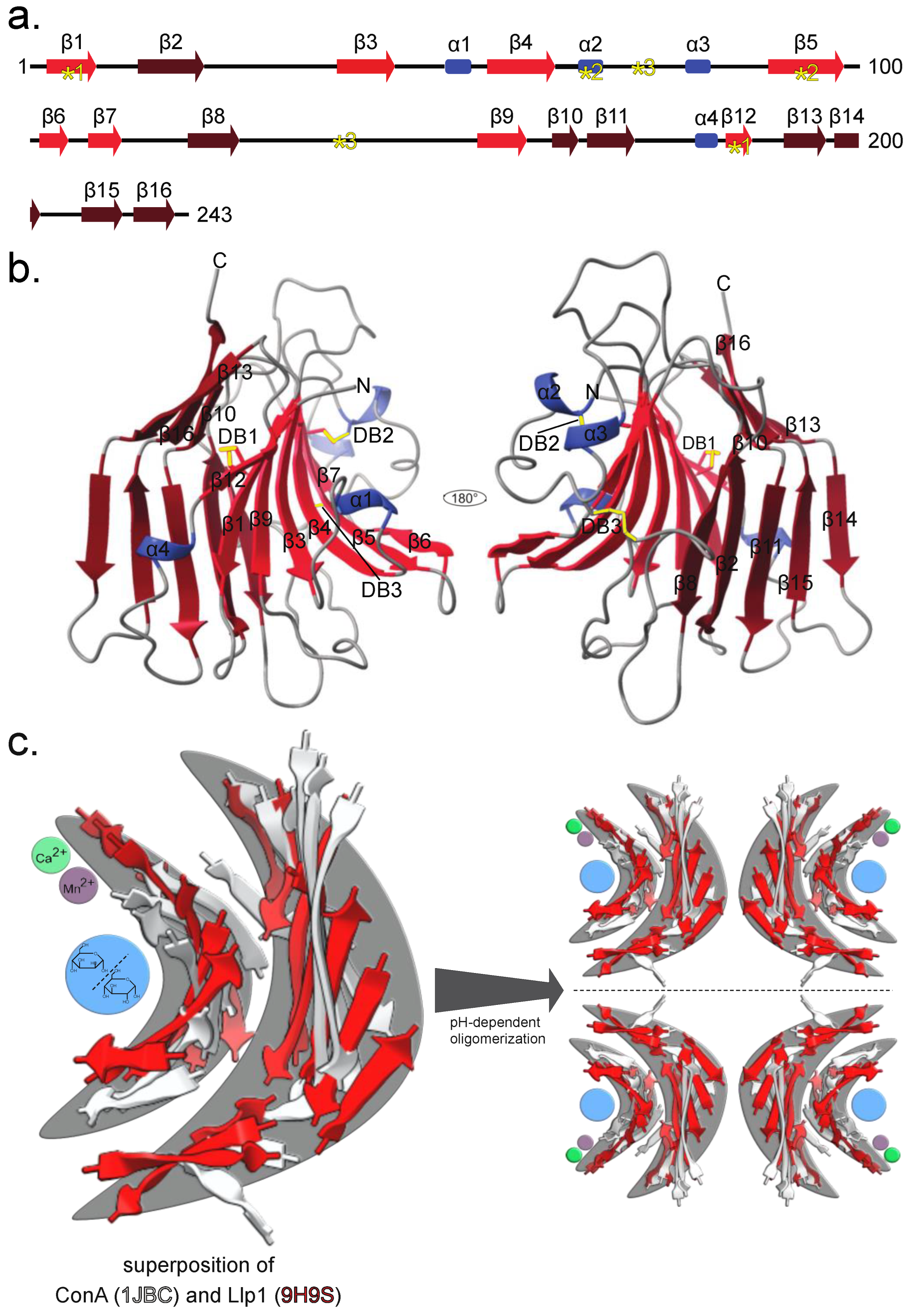 Jof 11 00164 g002 Jof 11 00164 g002